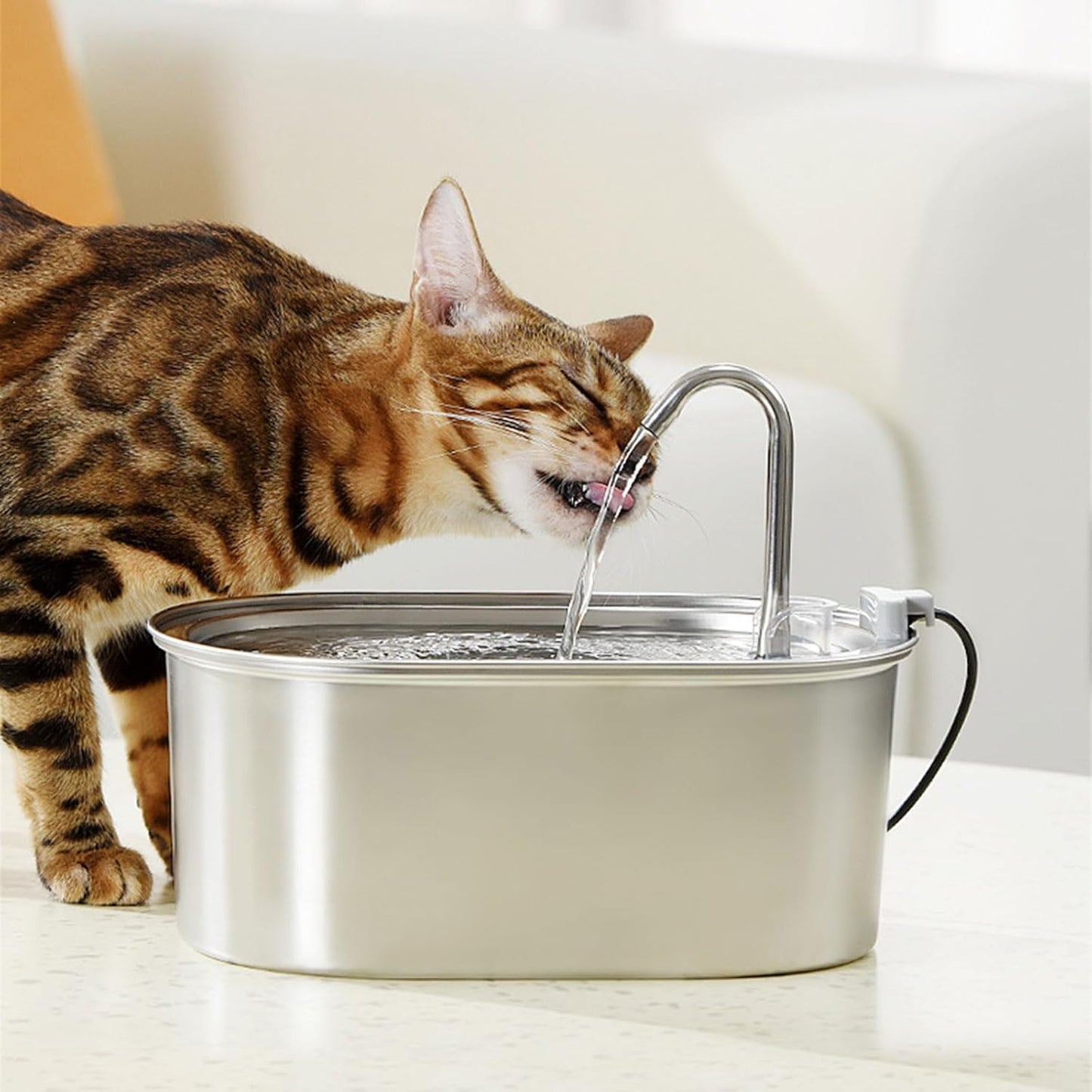 Cats Water Fountain Automatic Bowl Large Capacity Pet Dispenser Dogs Drinking Fountain