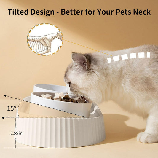 Ceramic Elevated Cat Bowls 15° Tilted Raised for Indoor Cat Anti Vomiting Food and Water Bowl Set Dog Bowls for Small Dog Whisker Fatigue Pet's Dishes (White)