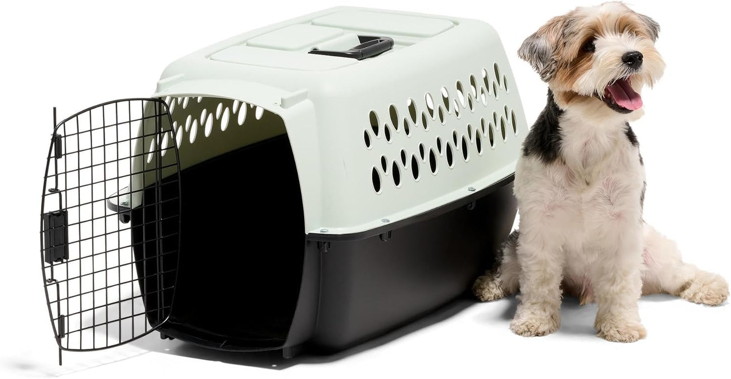Petmate Pet Porter Fashion Dog Kennel Plastic Crate for Pets 15-20 lbs, Pet Carrier For Home and Travel, Made in USA, 24" L x 14.5" H, Pale Aqua and Black