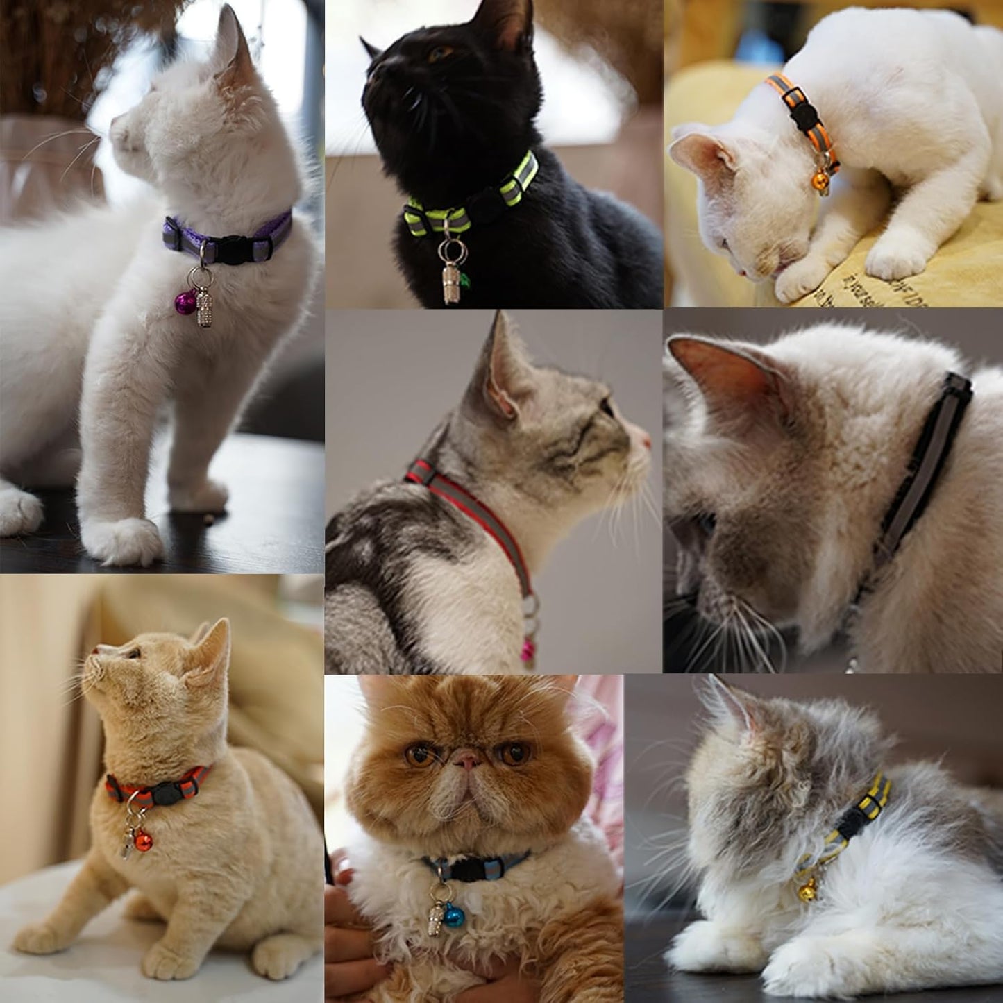 12 Pack Reflective-Breakaway Cat Collars with Bells,Safety Buckle Kitten Collar, with Name Tag, Adjustable,Ideal for Girl Cats Male Cats,Pet Supplies,Stuff,Accessories(12 Colors & 2 ID Tags)