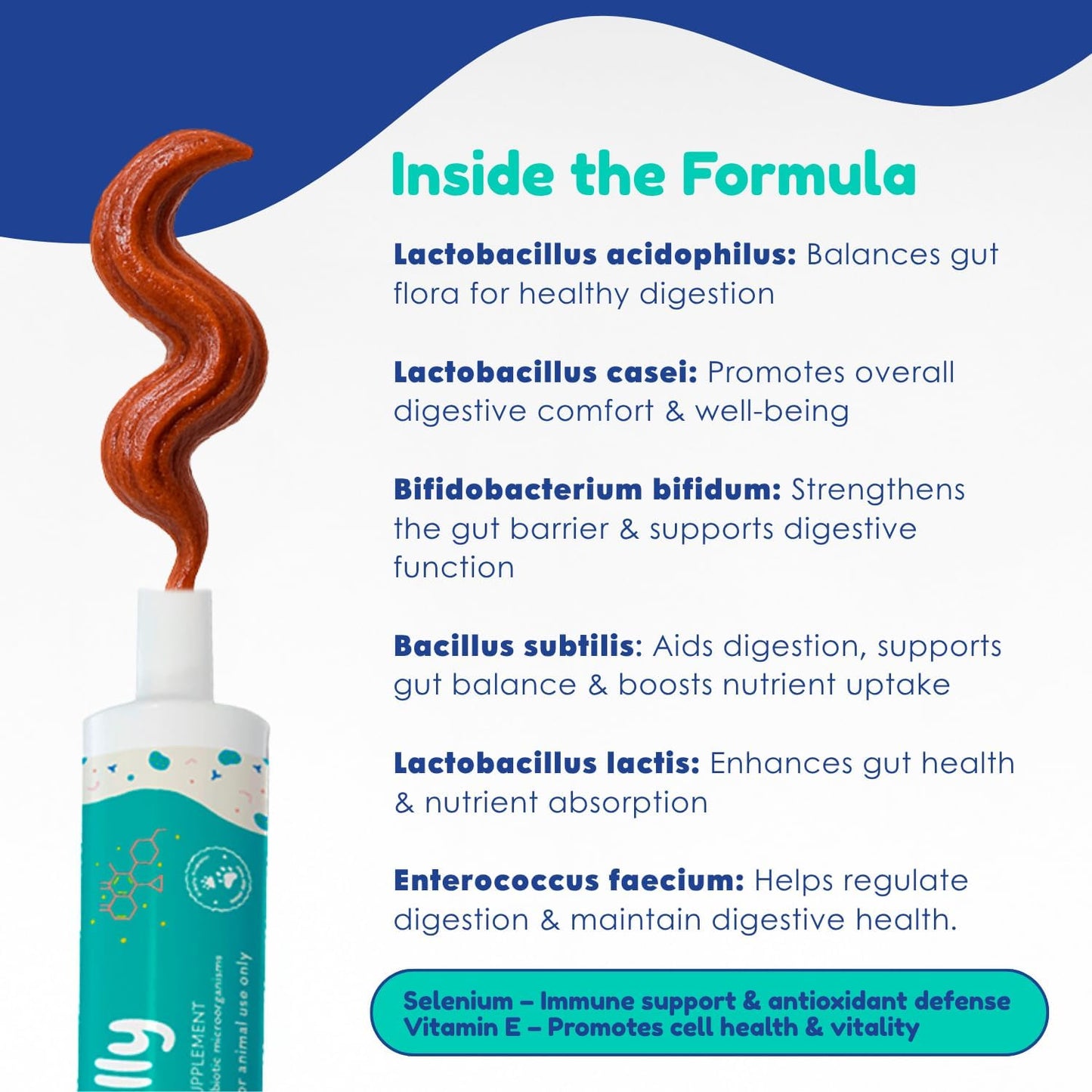 OL’ NELLY Dog Probiotic Paste for Digestive Support & Sensitive Stomach | 6-Strain Probiotics, Up to 7.2 Billion CFU per Serving | Helps with Loose Stool & Digestive Upset | 14g