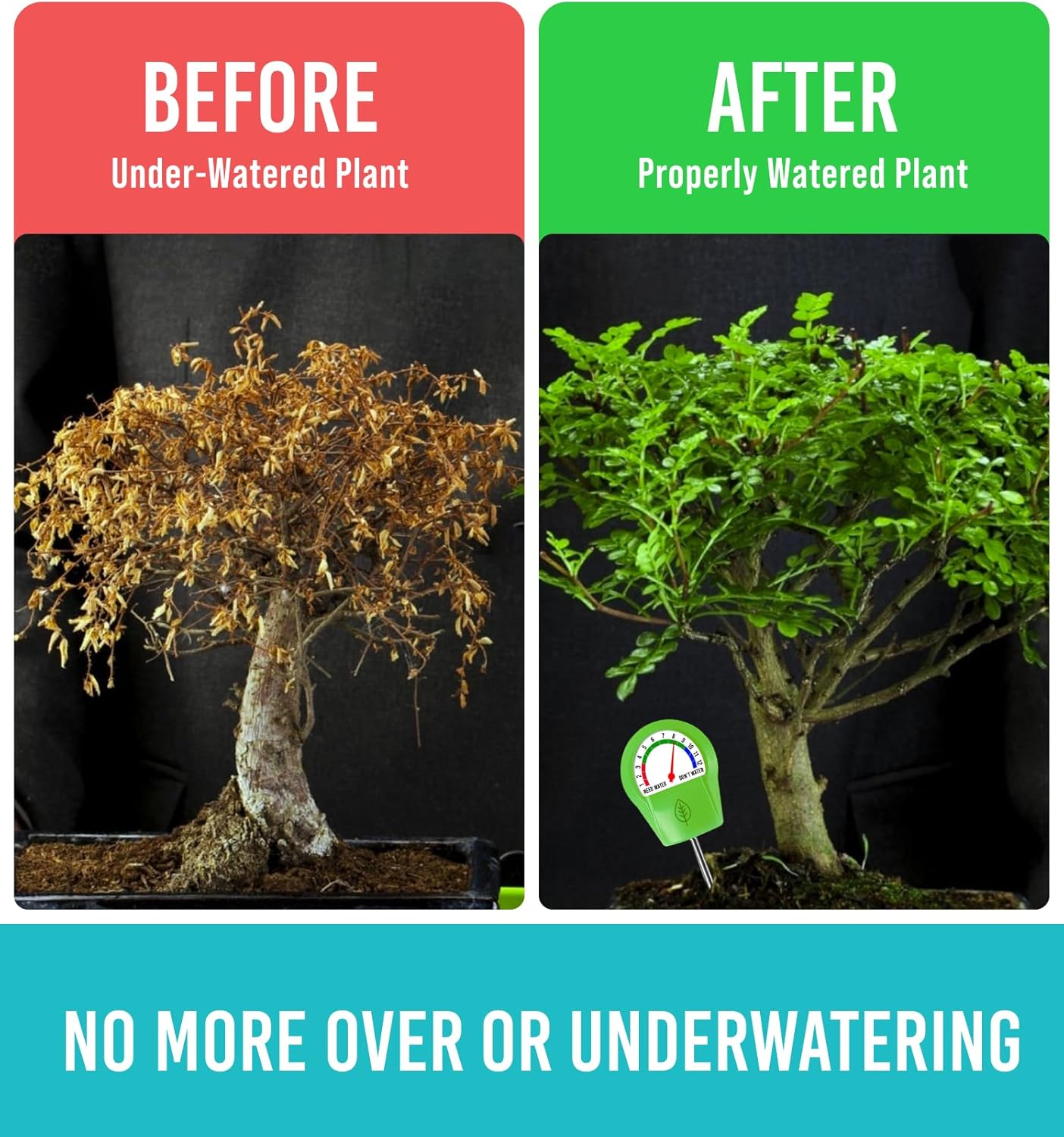 GROWIT Plant Moisture Meter - Accurately Tells You When to Water Your Plants - 26cm, No Battery Needed