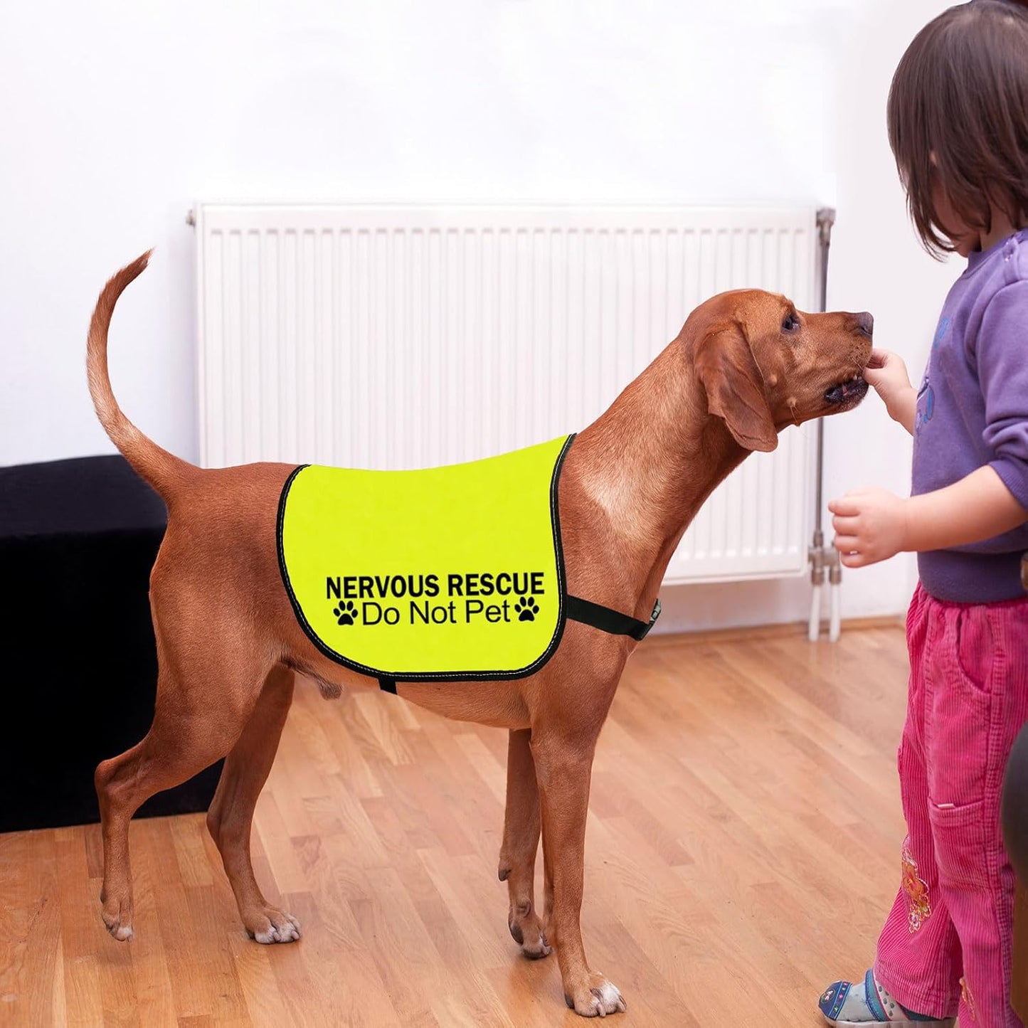 CENWA Nervous Ask to Pet/Do Not Approach Jacket - Space Dog Walking Slogan Warning Vest (Nervous Rescue Pet L)