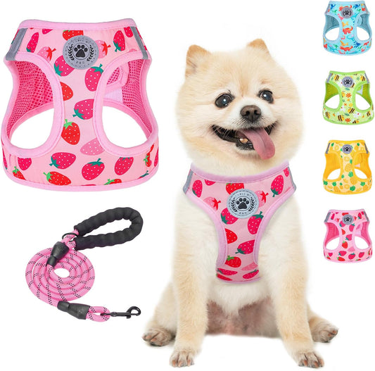 BEAUTYZOO Step in Dog Harness and Leash Set,Reflective Dog Harness No Pull No Choke Puppy Harness for Small Medium Large Dogs Cats,Soft Padded Mesh Vest Harnesses for Girl and Boy Pets, Strawberry M