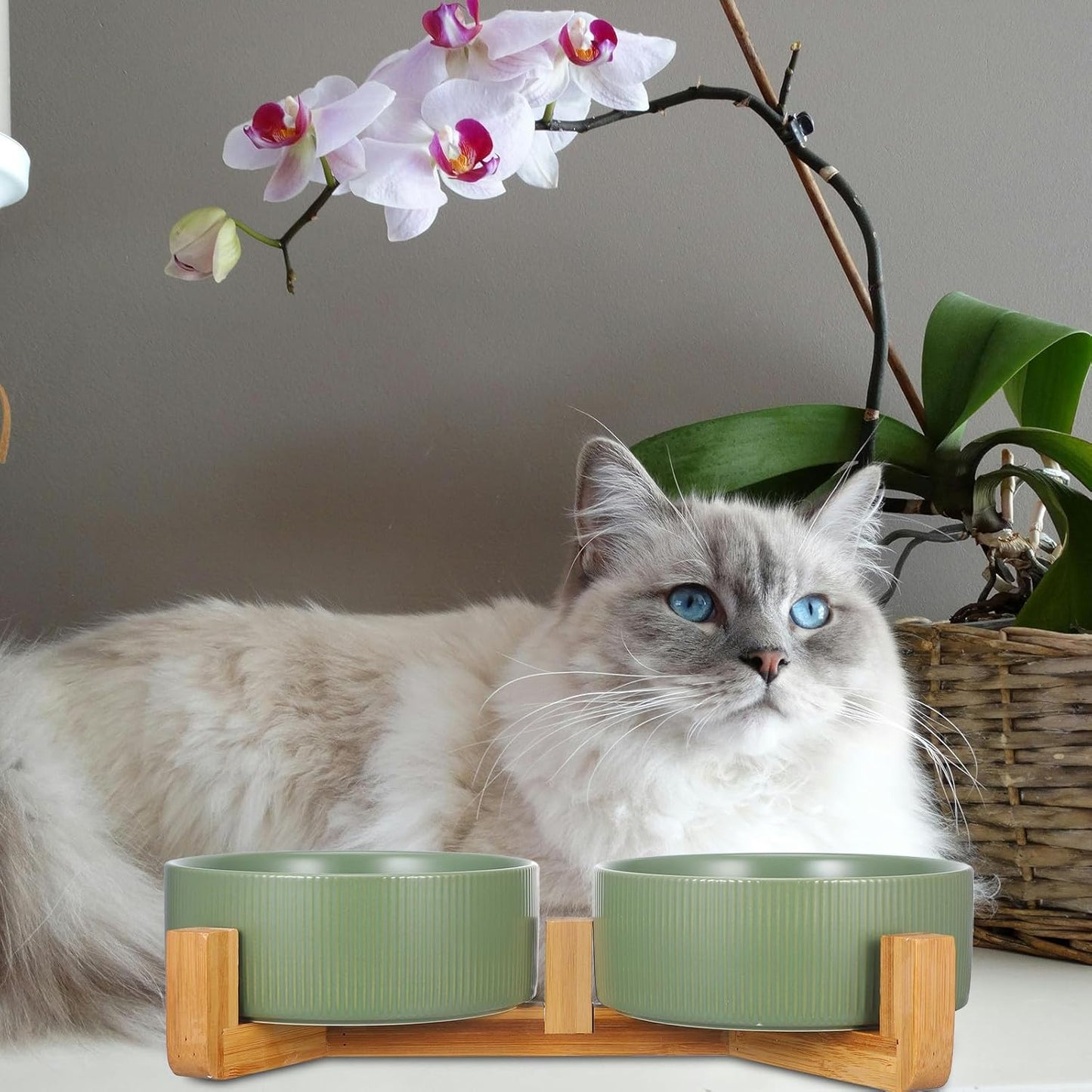 PRETYZOOM Ceramic Pet Bowl with Wood Stand, Double Raised Dog and Cat Feeder Bowls, Matte Green Non-Spill Water and Food Dish for Small to Medium Pets