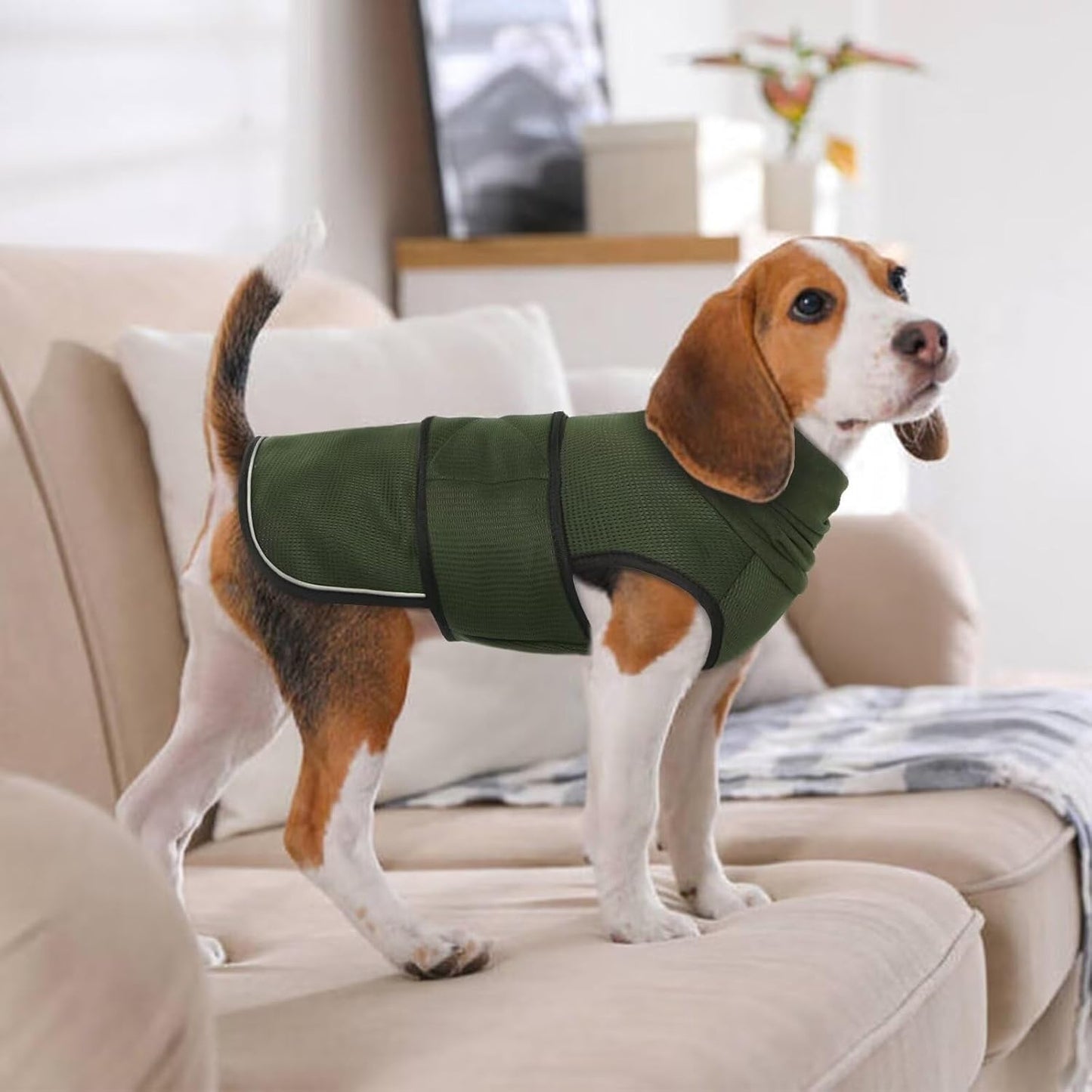 IDOMIK Dog Anxiety Calming Hoodie, Breathable Dog Jacket Vest for Thunderstorms, Fireworks, Vet Visits, Separation, Adjustable Noise Block & Ear Protection Recovery, Green, M
