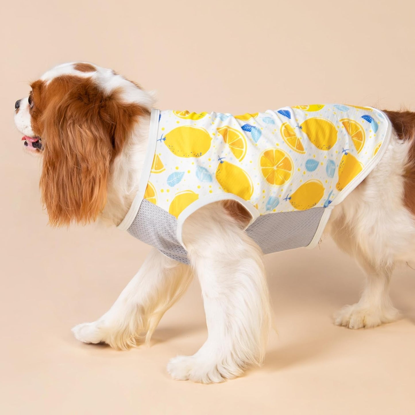 Fitwarm 2 Pack Ice Lemon UPF 50+ UV Sun Protection Dog Shirt, Lightweight Dog Cooling Vest, Quick Dry Summer Clothes for Small Dogs Boy Girl, Pet Outfit, Blue, Yellow, White, Small