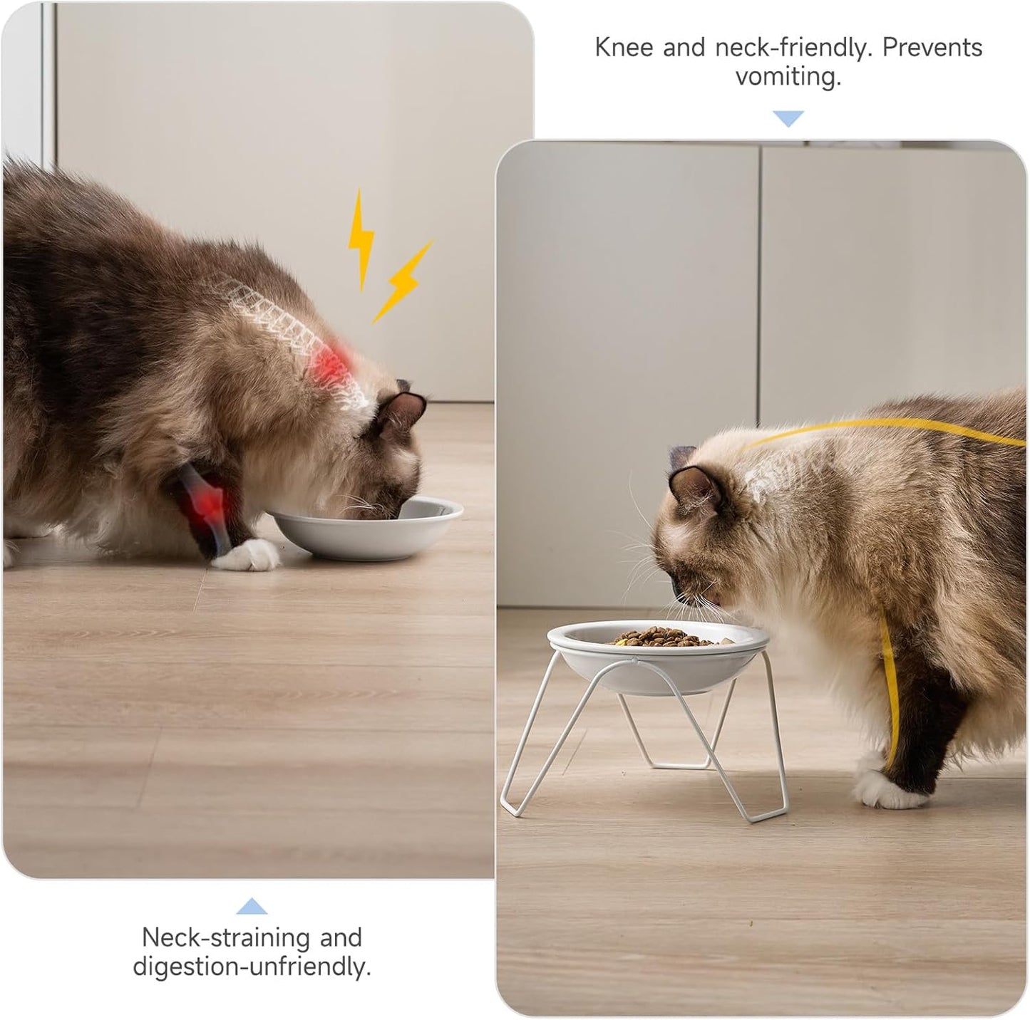 2-Pack Ceramic Raised Cat Bowls for Food and Water, Elevated Pet Dishes Bowls with Stand, Cats and Small Dogs, Dishwasher Safe