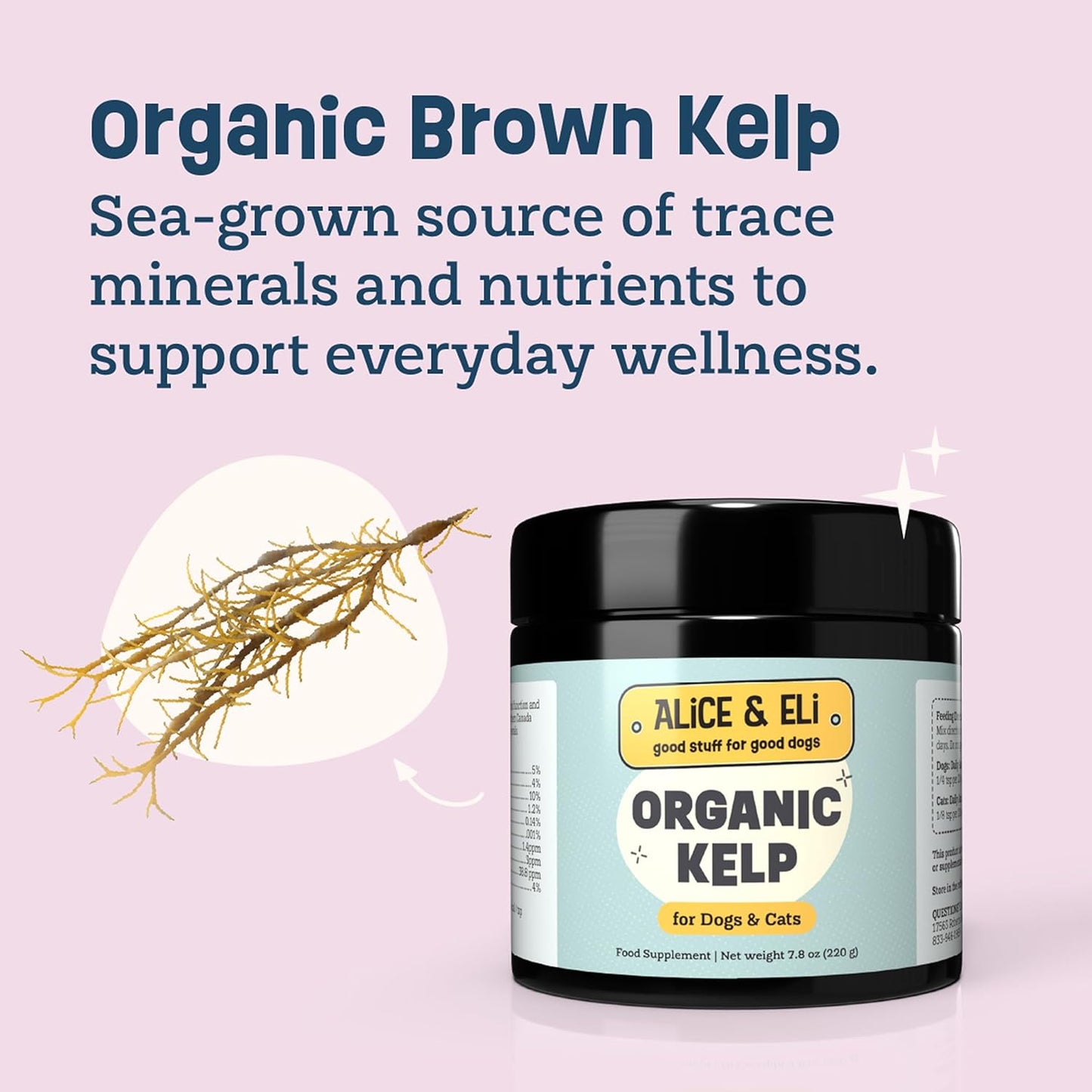 Alice & Eli Organic Kelp Powder for Dogs – Supports Healthy Coat, Thyroid & Immune System - Multivitamin Seaweed Powder from Canada