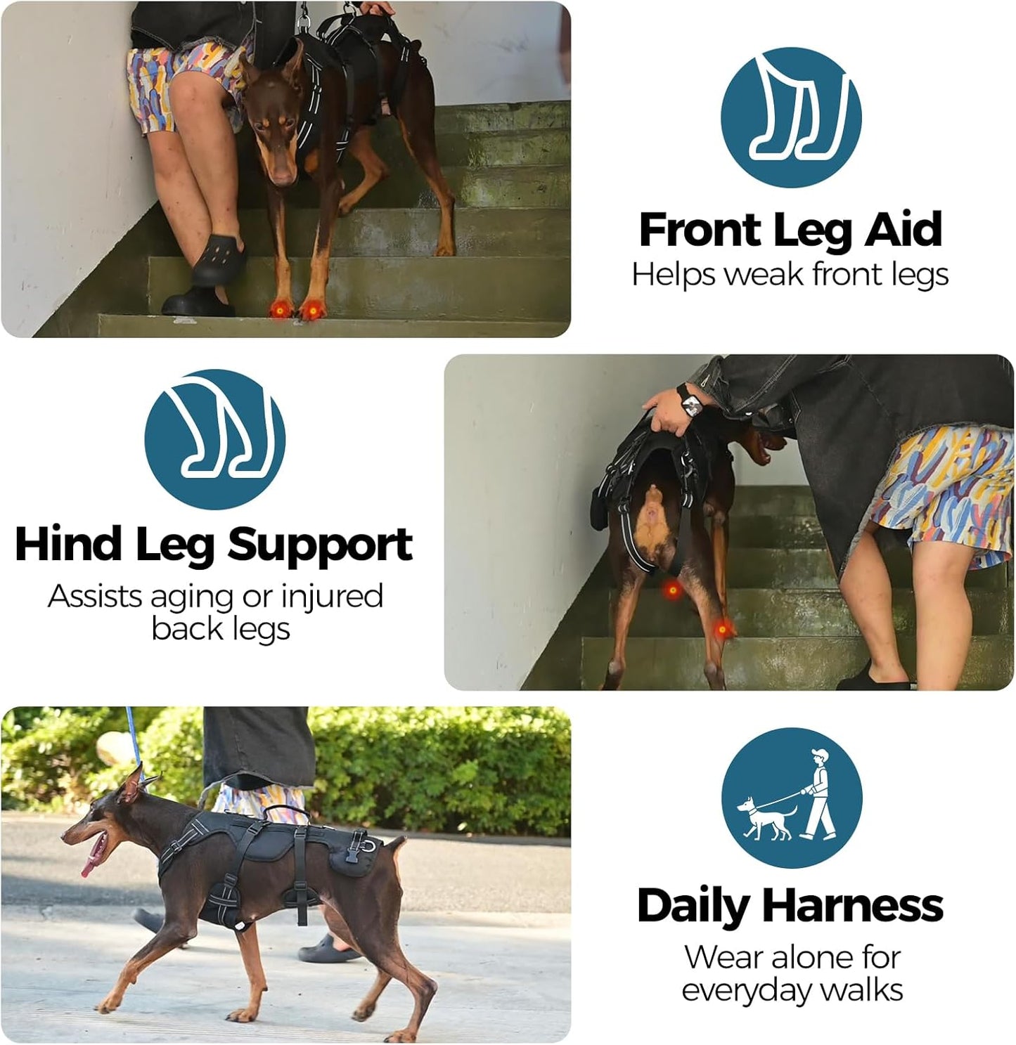 BINGPET Dog Lift Harness,Full Body Dog Sling for Large Medium Dogs Hind Leg Support,Adjustable Reflective Vest Dog Harness with Handle,Multifunctional Rescover Dog Carrier Sling