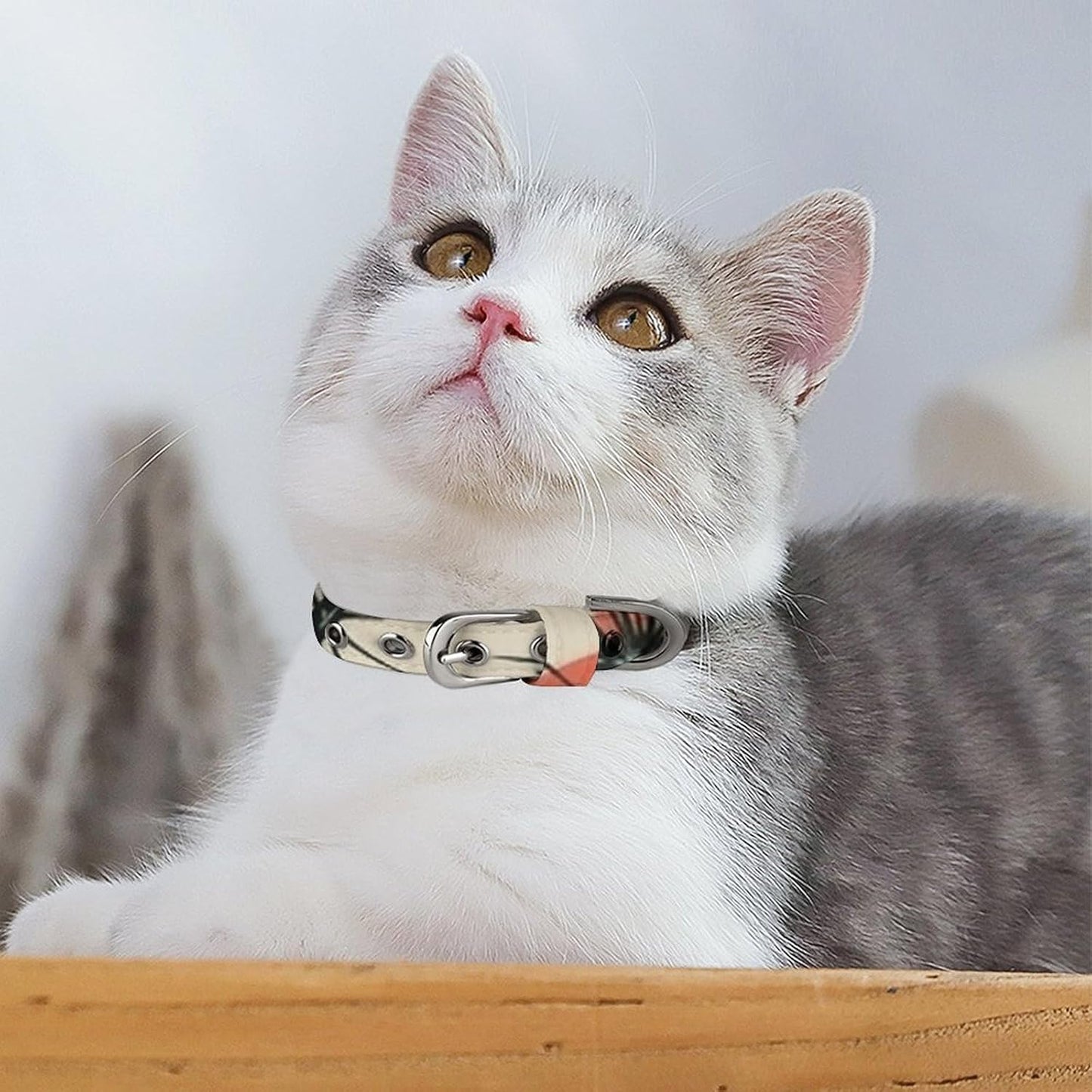 Atomic Stars Retro Pattern Dog Collar with Buckle Adjustable Martingale Pet Collars Cute Female Male Puppy Collar Soft Waterproof Cat Collars for Small Medium Dogs