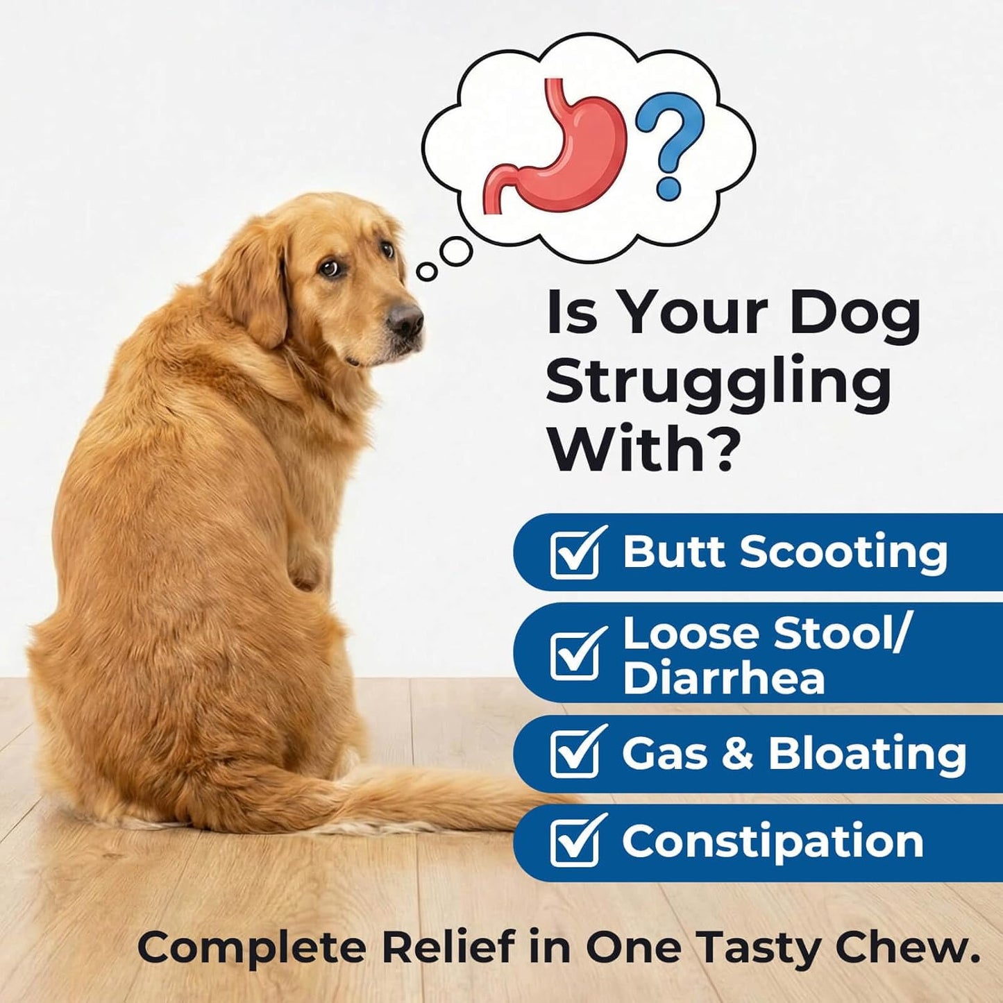 Dog Probiotics Soft Chews with 160mg Pumpkin & Papaya Enzymes – 90 Count – 4-in-1 Gut Support for Scooting Comfort, Stool Consistency & Occasional Gas – Chicken Liver Flavor