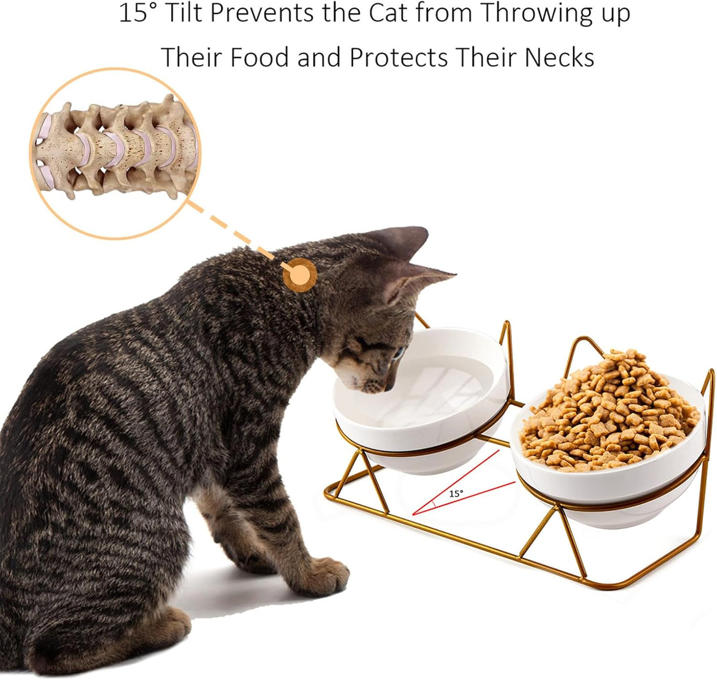 Trosetry Cat Bowls, Double Ceramic Pet Bowls with 15°Tilted Raised Stand for Food and Water, Anti Vomiting Cat Dish Feeder, Perfect for Puppy Cats and Small Dogs(Double Bowls1)