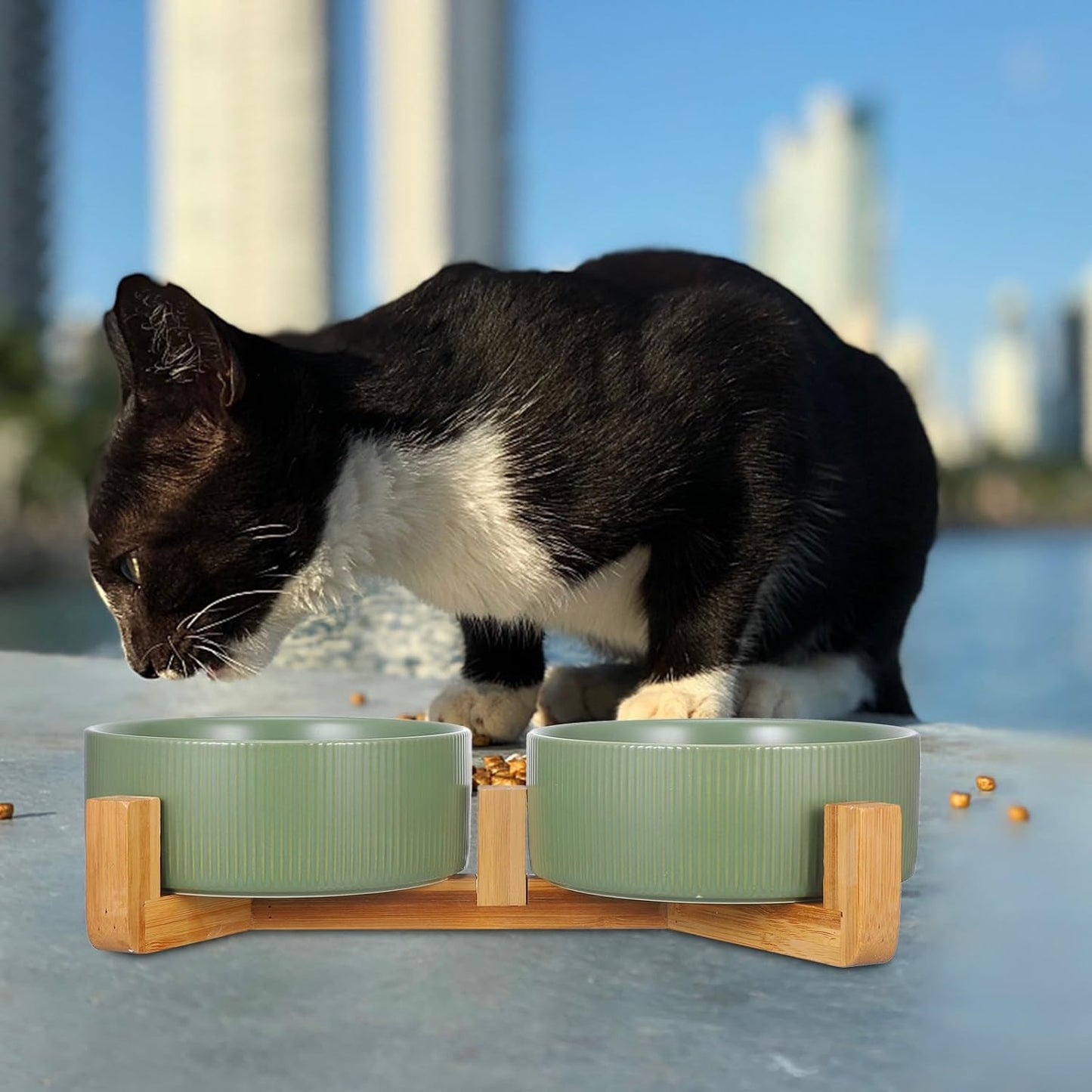Milisten Ceramic Elevated Cat Feeder with Wooden Stand, 2-Bowl Raised Pet Food and Water Dish, Non-Spill Matte Green Indoor Dog and Cat Bowl Set