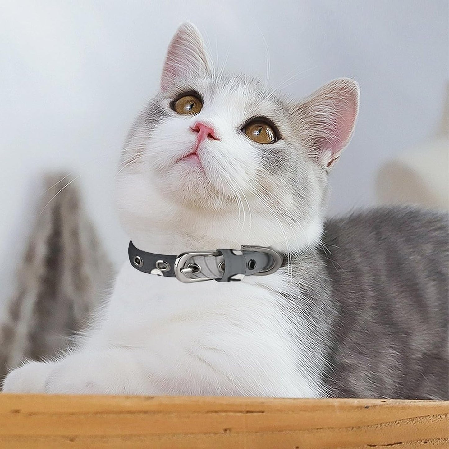 Cute Funny Grey Cats Pattern Dog Collar with Buckle Adjustable Martingale Pet Collars Cute Female Male Puppy Collar Soft Waterproof Cat Collars for Small Medium Dogs