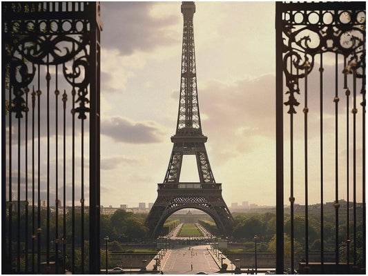 Dog Food Mat Pet Leather Tablecloth Paris Eiffel Tower Pet Feeding Mat Anti-Slip Dog Bowl Mats Absorbent Pet Placemats for Dogs Protect Floor Dogs Pad for Food and Water