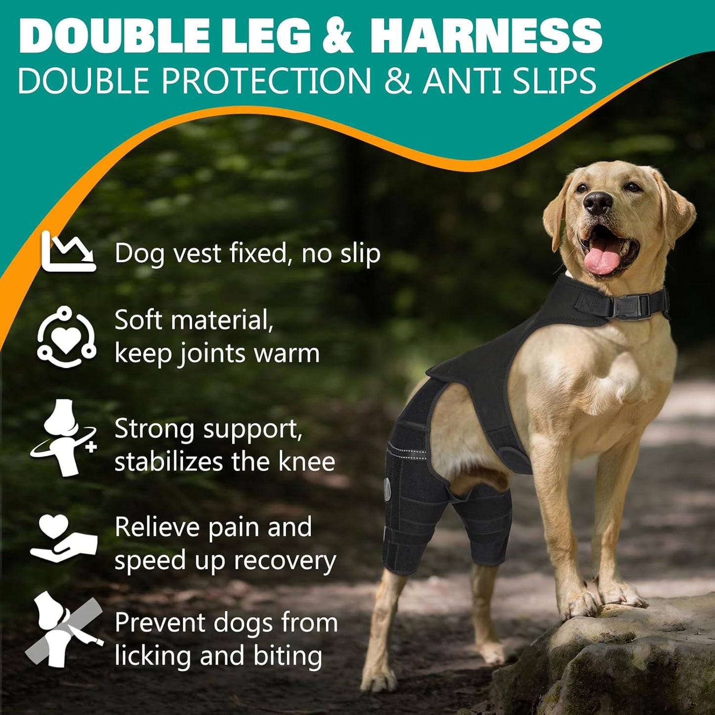 Dog Knee Brace for Hind Legs ACL Support - Adjustable Double Leg Dog Brace for Joint Pain Relief, Luxating Patella, Arthritis Recovery - Secure Fit Orthopedic Wrap for Small Medium Large Dogs (XXL)