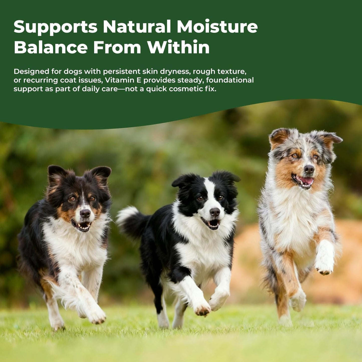 Vitamin E for Dogs, Liquid Vitamin E Oil for Skin & Coat Support, Supports Natural Moisture Balance & Cellular Health, Easy-to-Mix Drops, 2 fl oz (60 mL)