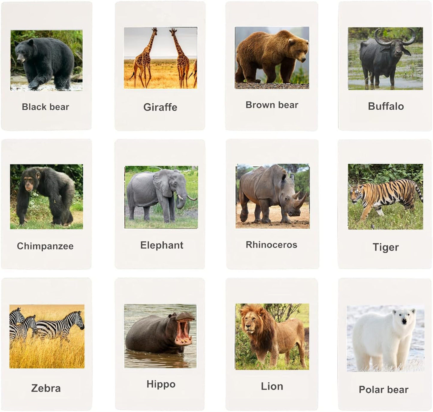 RUSON 12 Safari Animals Figures Toys with 12 Flash Cards, Realistic Mini Jungle Animal Figurines Cake Topper Party Supplies Montessori Animal Matching Game for Toddler Kids