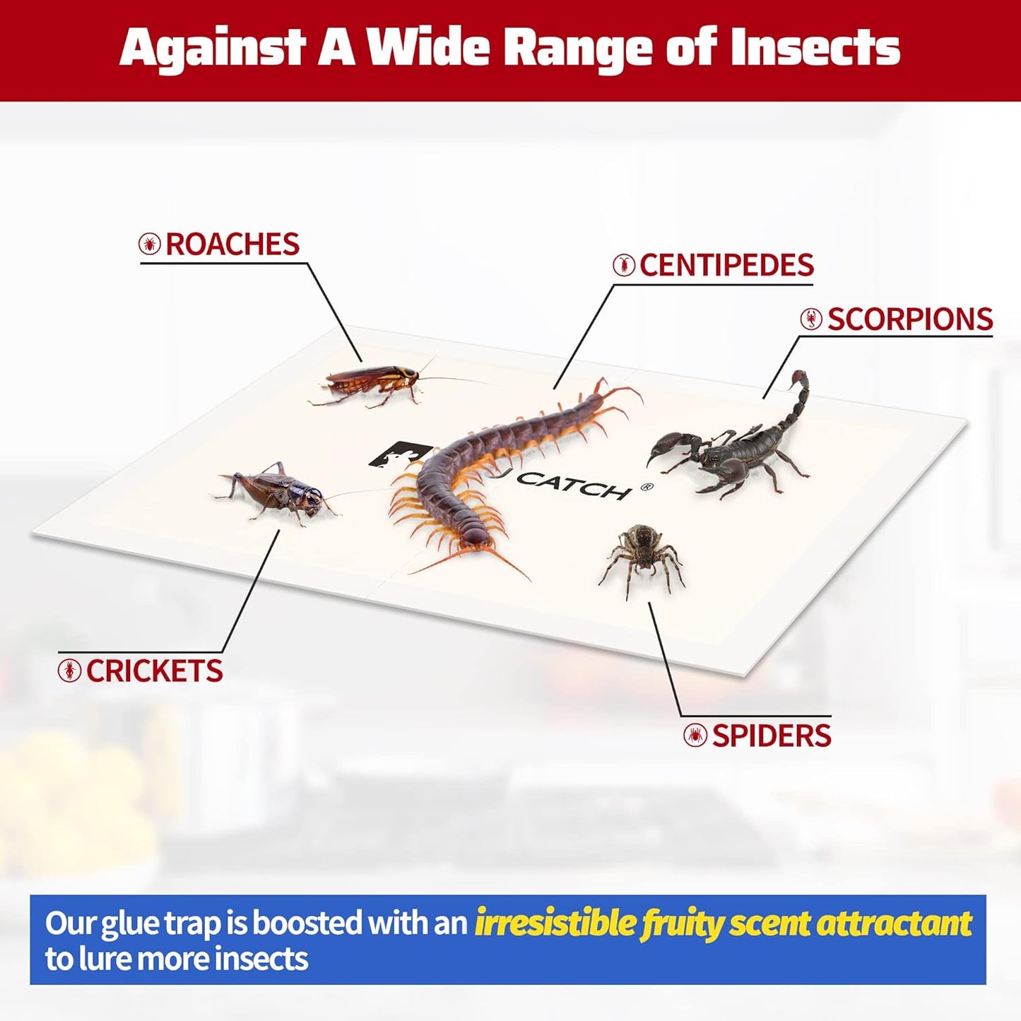 LULUCATCH Cricket & Insect Glue Traps 24 Pack, Adhesive Bug Catcher, Pre-Baited Spider Scorpion Trap, Non-Toxic Glue Boards Indoor for Home Catching Bugs, Mice & Rodents, Pet Safe Pest Control
