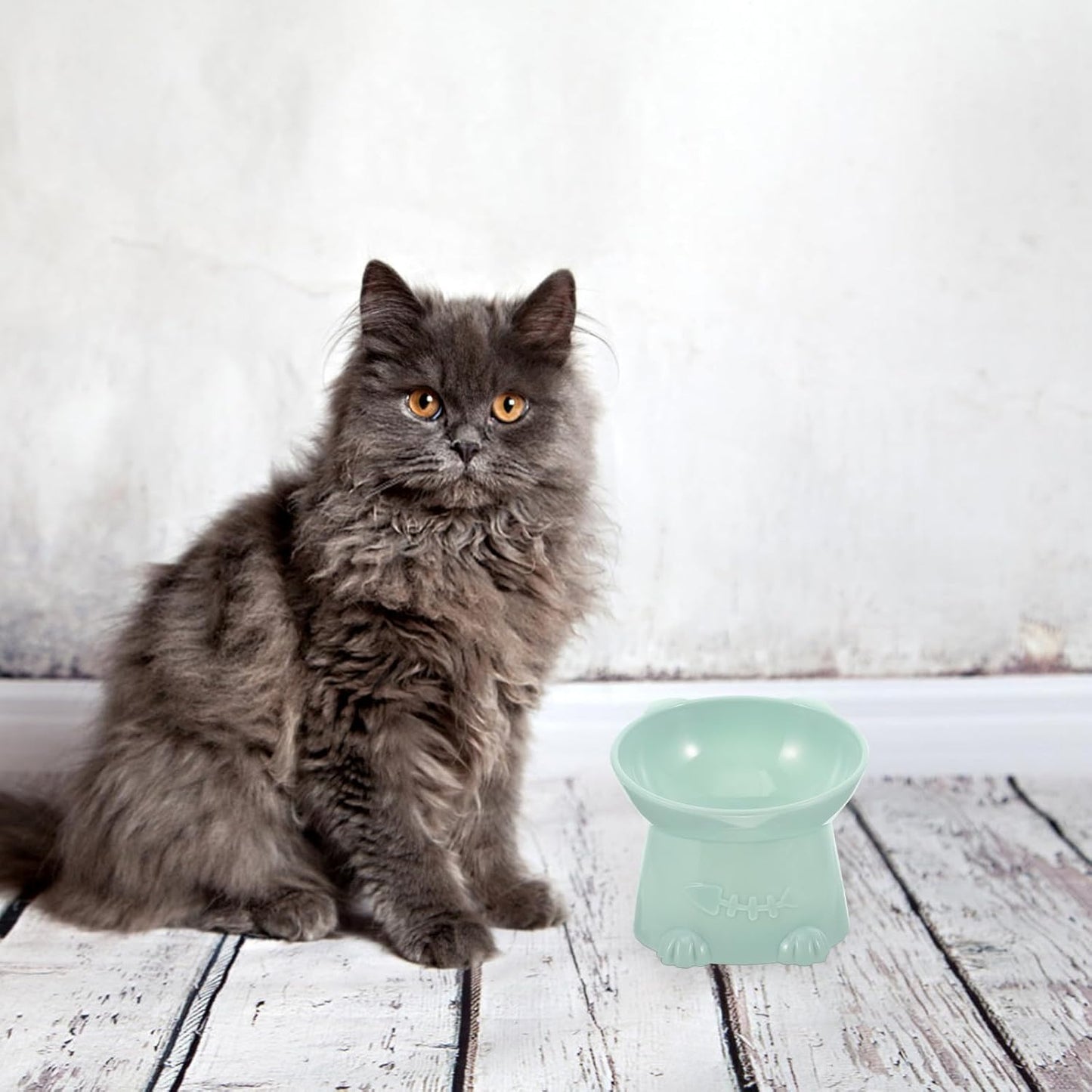 Milisten Raised Tilted Cat Food Bowl with Neck Guard 6cm Elevated Blue Pet Feeder for Indoor Cats Anti-Spill Raised Food Bowl and Small Dogs