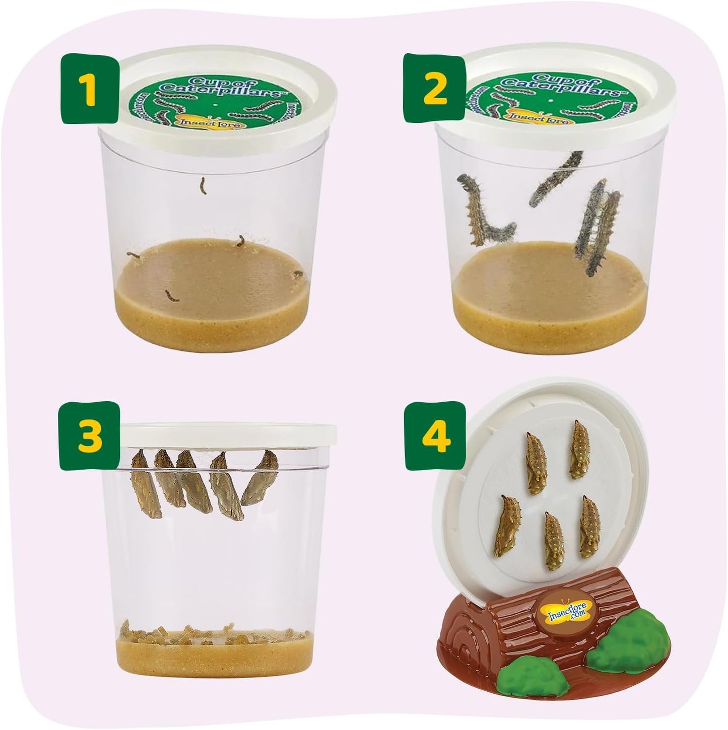 Insect Lore Raise and Release Butterfly Garden Kit – Caterpillar Habitat with redeemable Voucher – STEM-accredited Butterfly Growing Kit for Kids, Classrooms, and Homeschool Learning