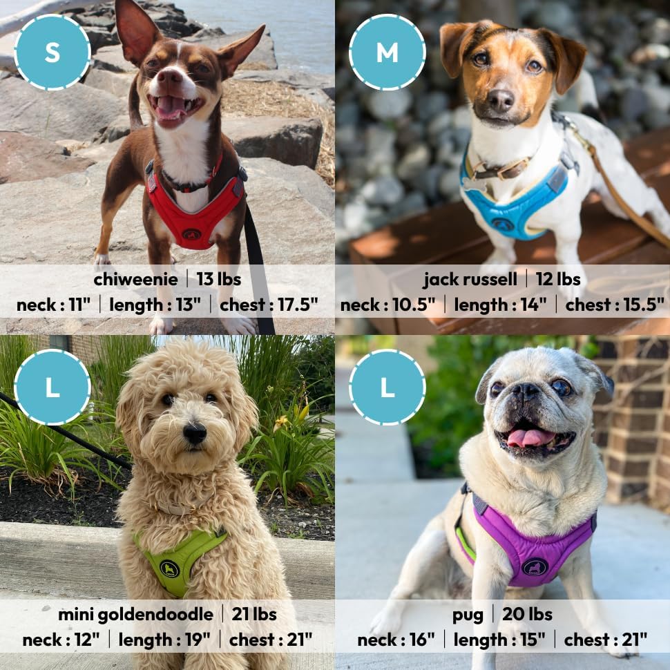 Gooby Escape Free Memory Foam Harness - Blue, Medium - No Pull Step-in Small Dog Harness with Four Point Adjustment - Perfect on The Go Dog Harness for Medium Dogs No Pull and Small Dogs