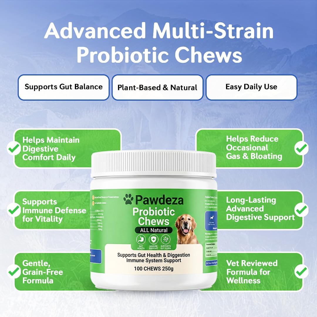 Dog Probiotics Chews – 6 Billion CFU with Prebiotics, Pumpkin, Inulin, Chicory Root & Digestive Enzymes – Supports Gut Health, Digestion, Immunity & Regularity – Natural oft Chews for Dogs