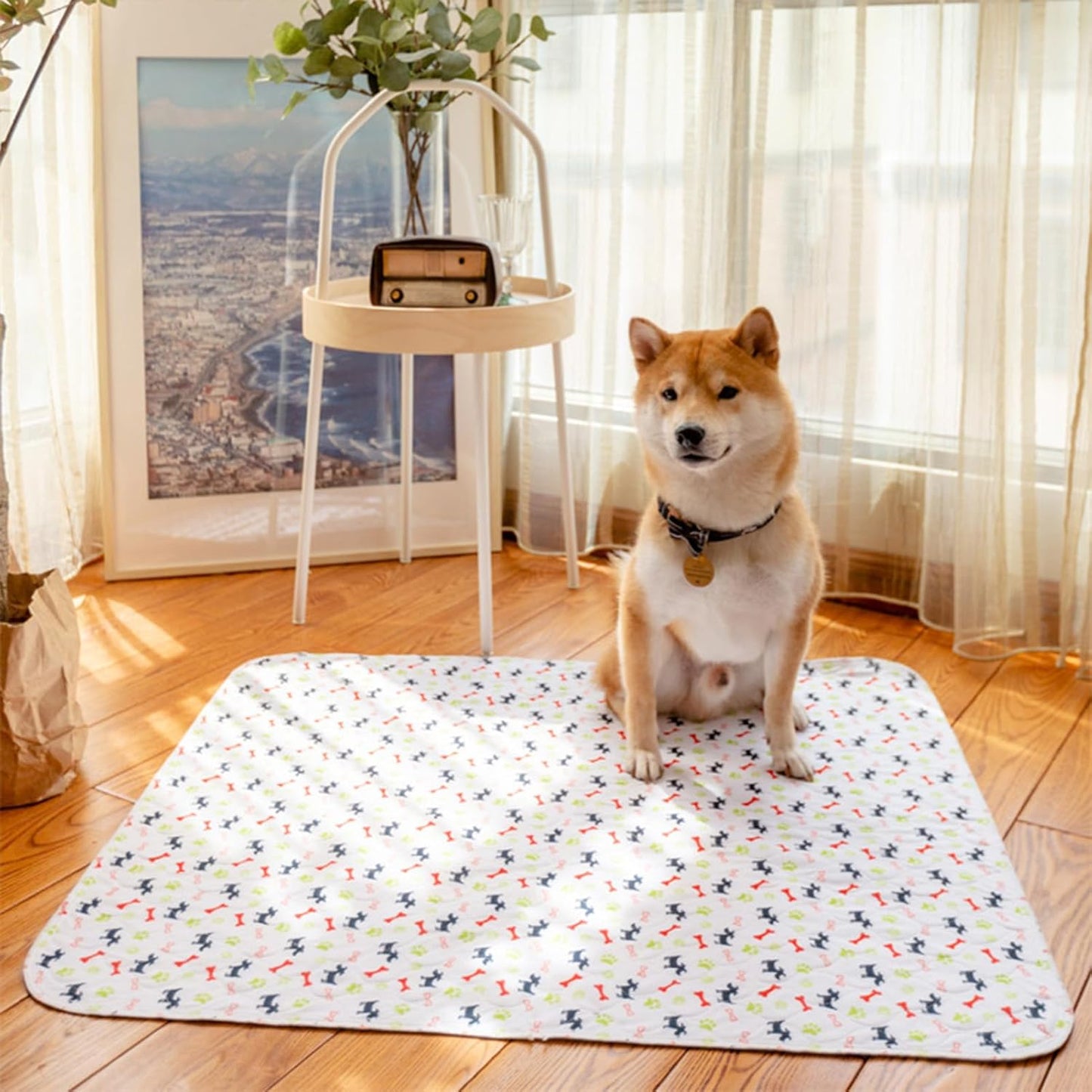 Pet Liners – Absorbent Pee Pads for Daily Home Care | Quick Soak Fabric System, Rewash Friendly Build, Flexible Placement Style & Hygiene Support Features for Litter Box Areas, Grass Training, Indoor
