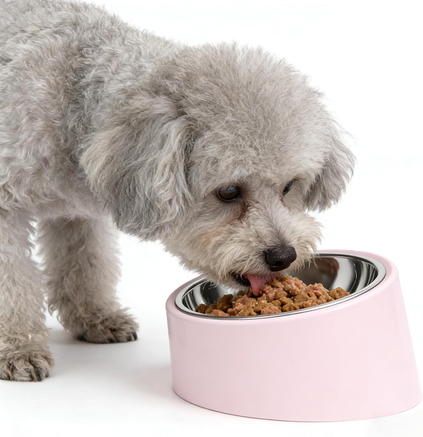Tilted Slow Feeder 15° Elevated Non-Slip, BPA-Free Vet-Recommended Easy Clean Water Dish for Small Pets (Pink)