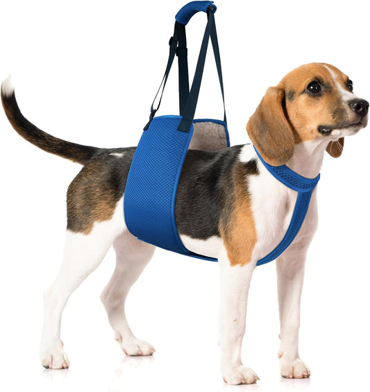 Adjustable Dog Lift Harness with Fixing Strap — Dog Lift Sling for Dogs, Hind Leg Support, Soft Rehab Harness for Weak Rear Legs, Ideal for Senior, Injured, Disabled Dogs and Surgery Recovery (M)