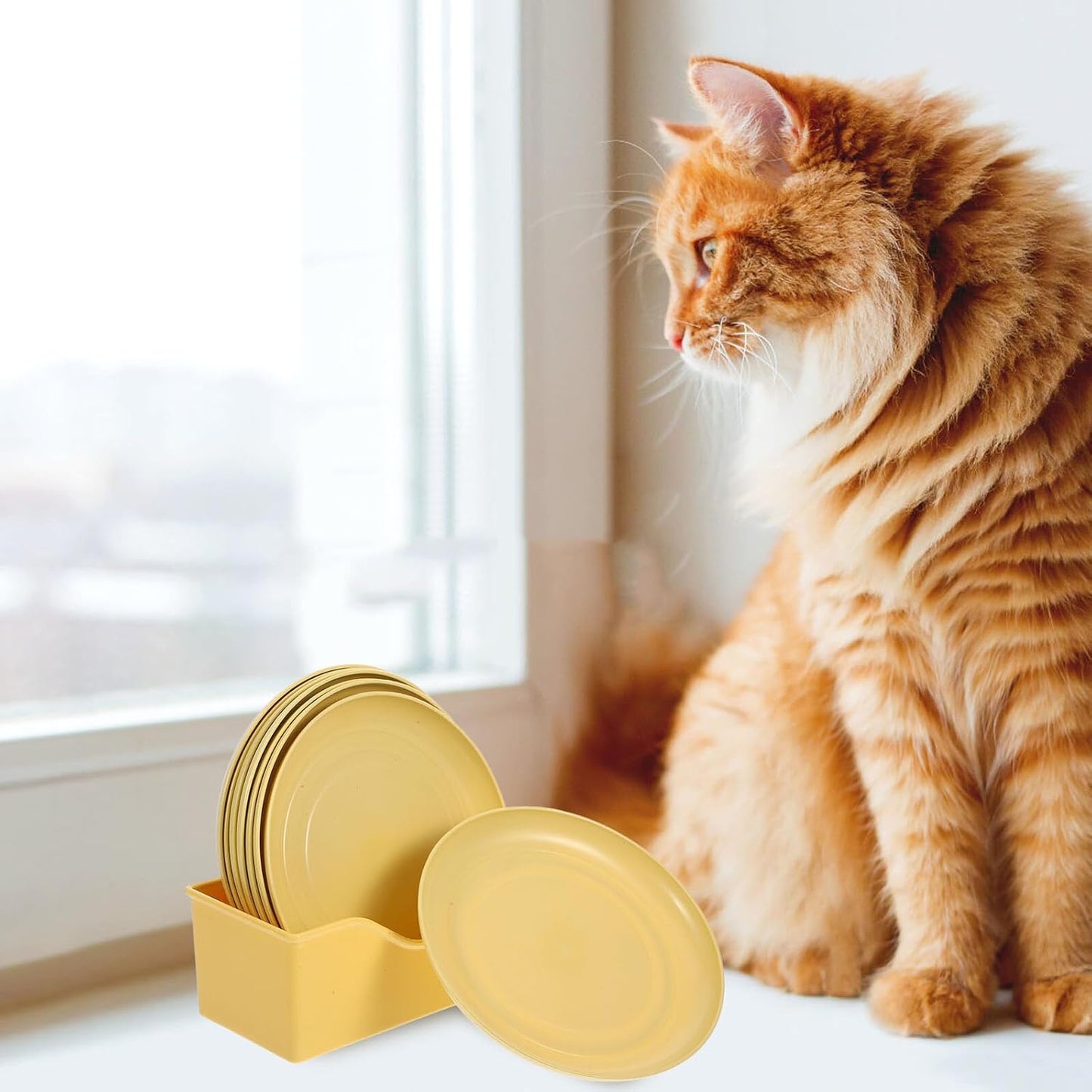 FAVOMOTO 8pcs Light Yellow Plastic Cat Bowls Set with Shallow Round Plates and Feeding Base, Anti-Whisker Fatigue Kitten Food Dishes for Indoor Small Cats and Short-Legged Pets