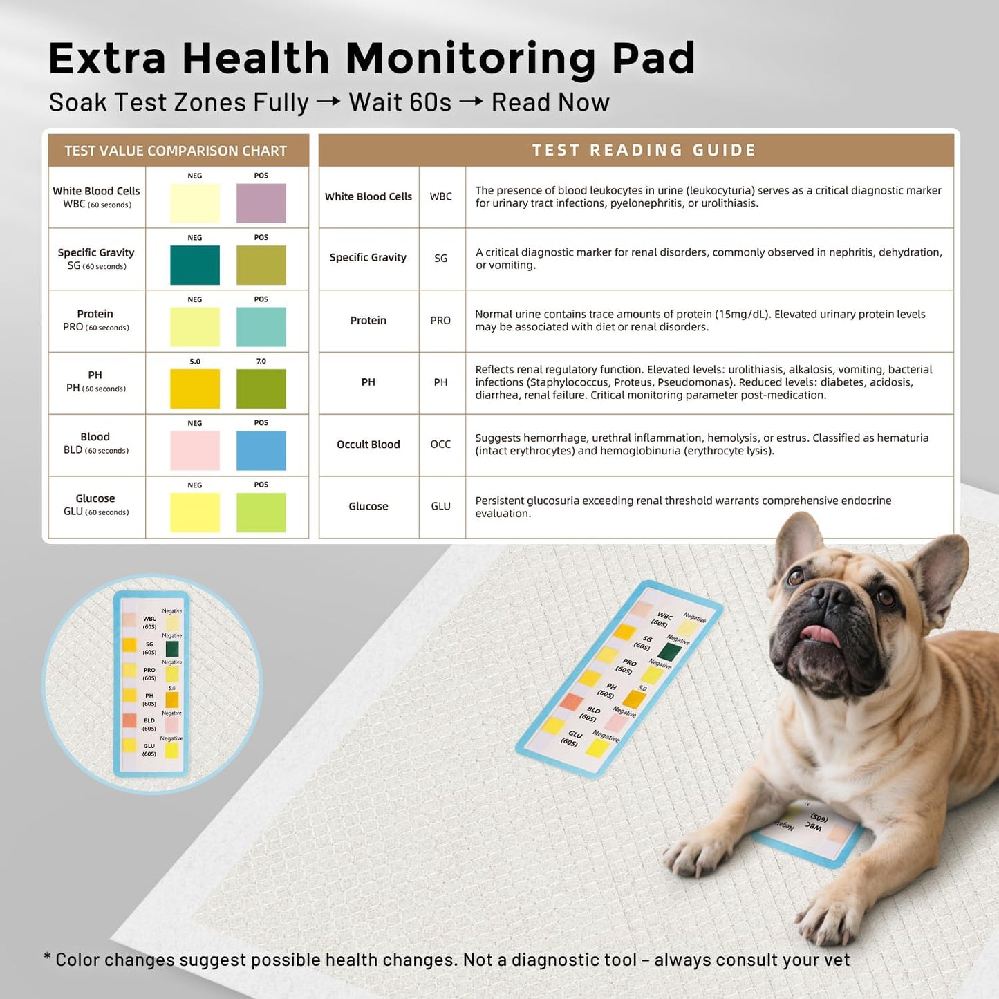 Charcoal Puppy Pee Pads for Dogs, 22"x22" 50 Counts + 1 Extra Health Monitoring Pad - Disposable Dog Potty Training Pads, Odor-Control, Super Absorbent & Leak-Proof