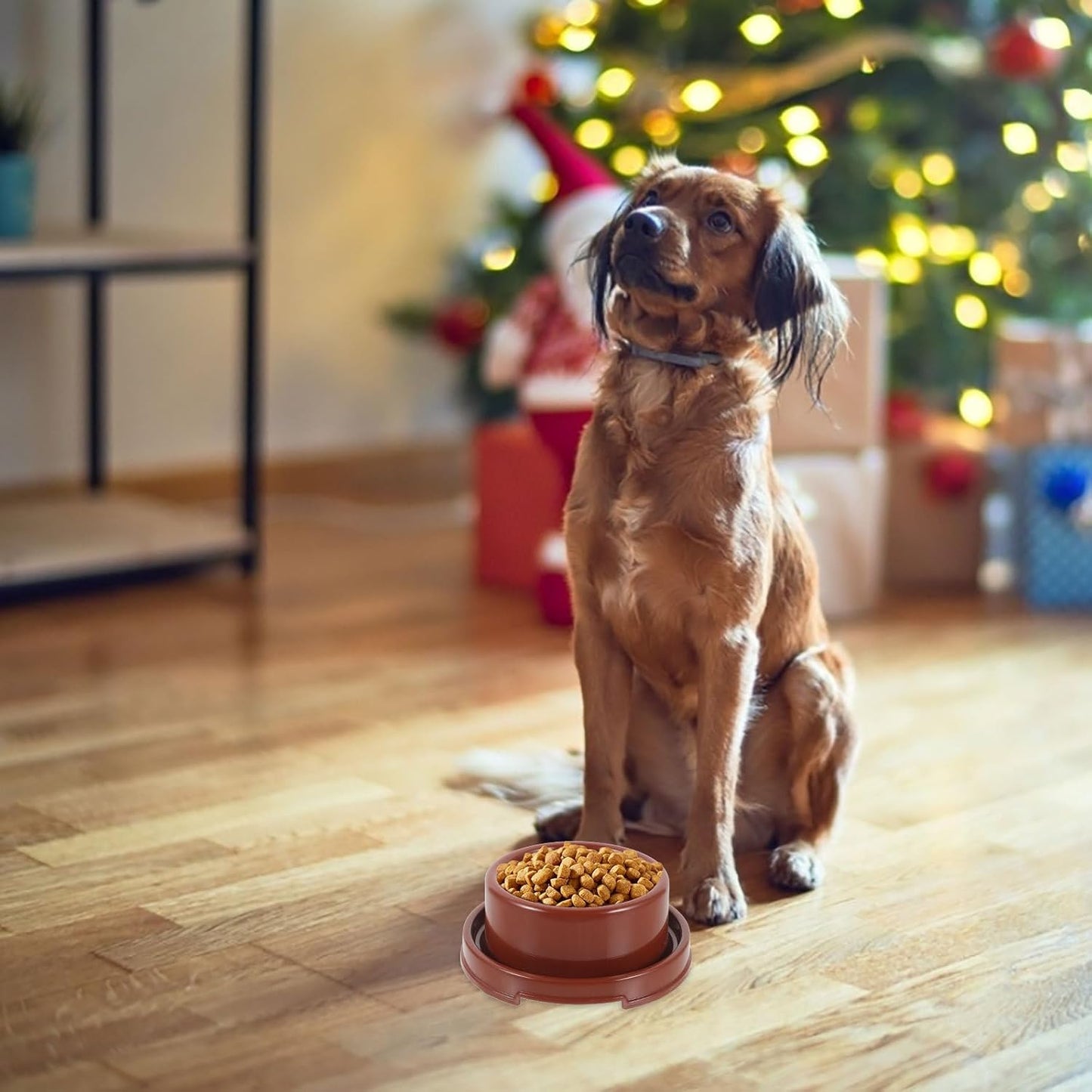 PRETYZOOM Plastic Dog Food Bowl with Design, Small Round Pp Pet Feeder for Puppies and Cats, Brown Single Pet Food Holder Suitable for Indoor Feeding