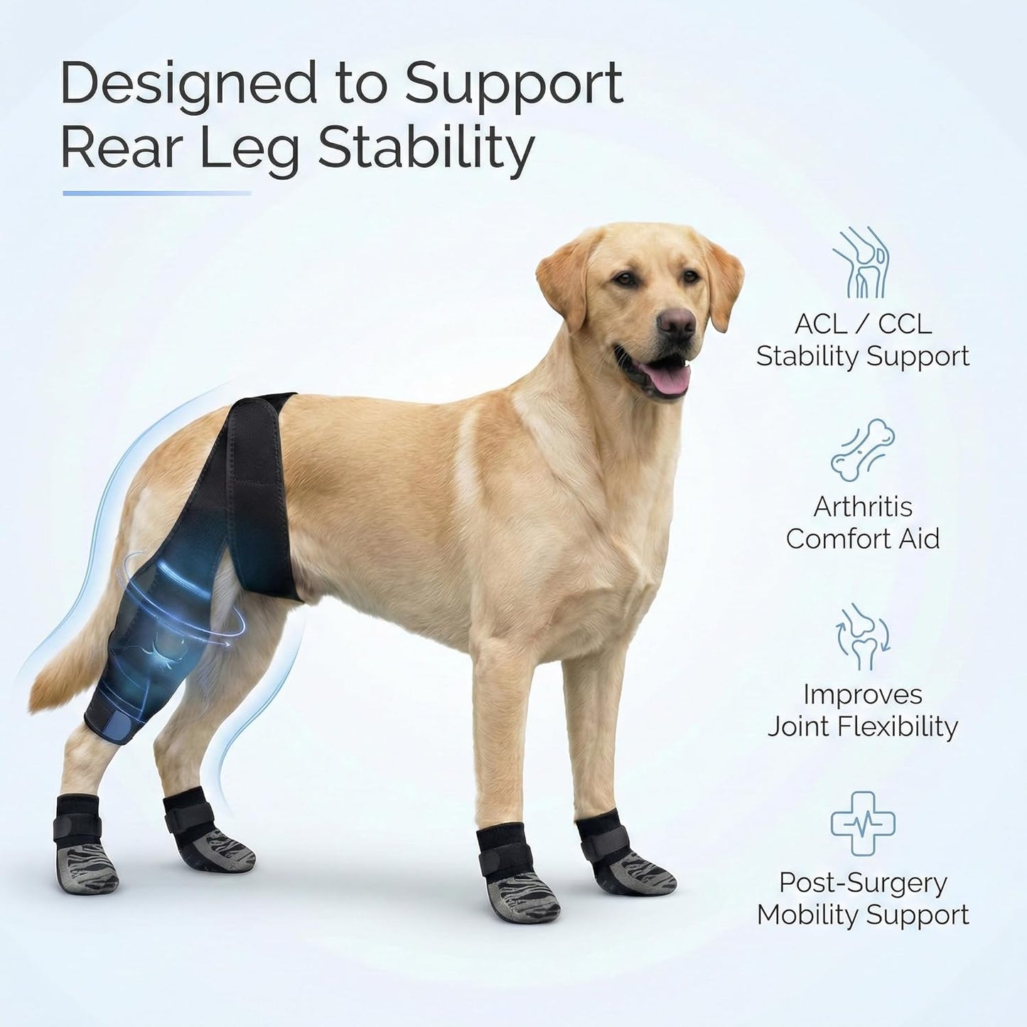 Dog Rear Leg Support Brace with Anti-Slip Socks – Adjustable for Joint Pain Relief and Recovery, Improves Mobility for Walking & Outdoor Use, Durable Black Size L (ACL Support)