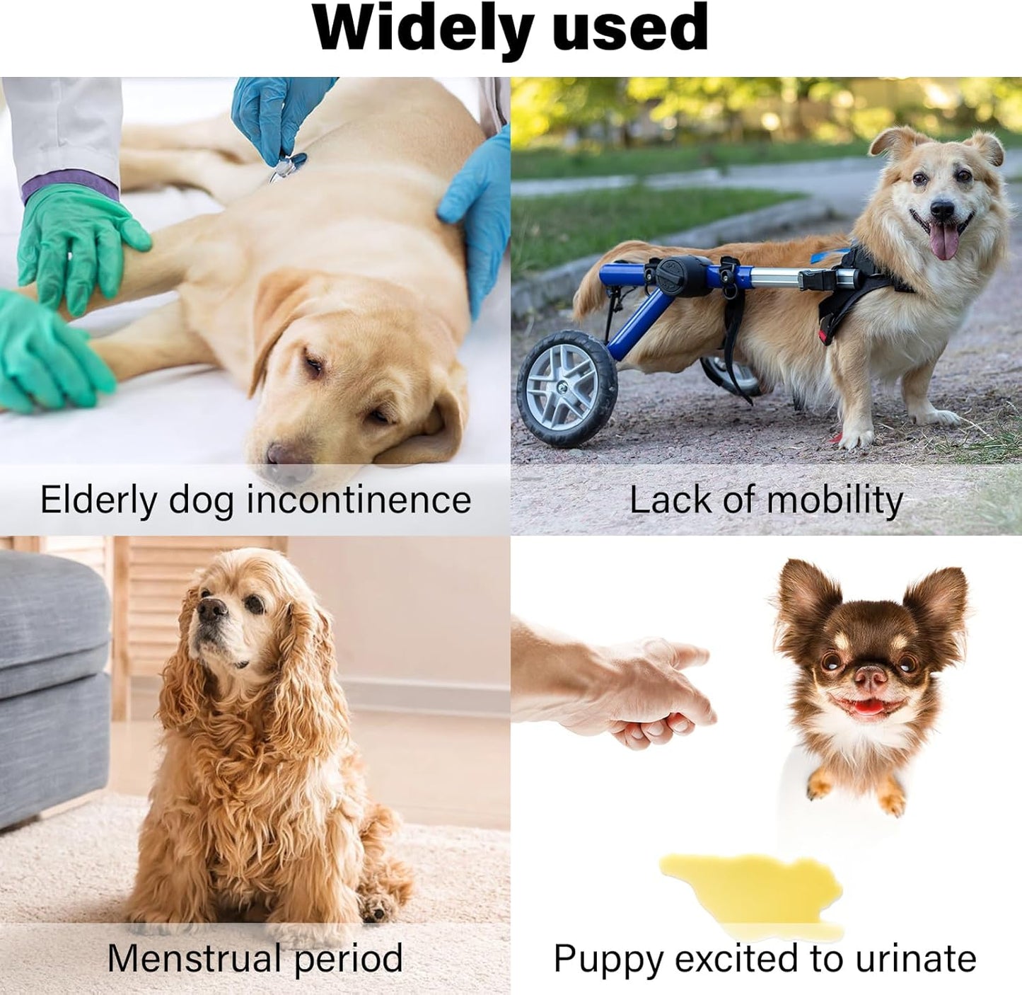 Washable Female Dog Diapers 3 Pack Premium Reusable Diapers for Dog in Heat - Highly Absorbent for Untrained Puppies, Dogs in Heat, Doggie Menstrual and Incontinence S - A