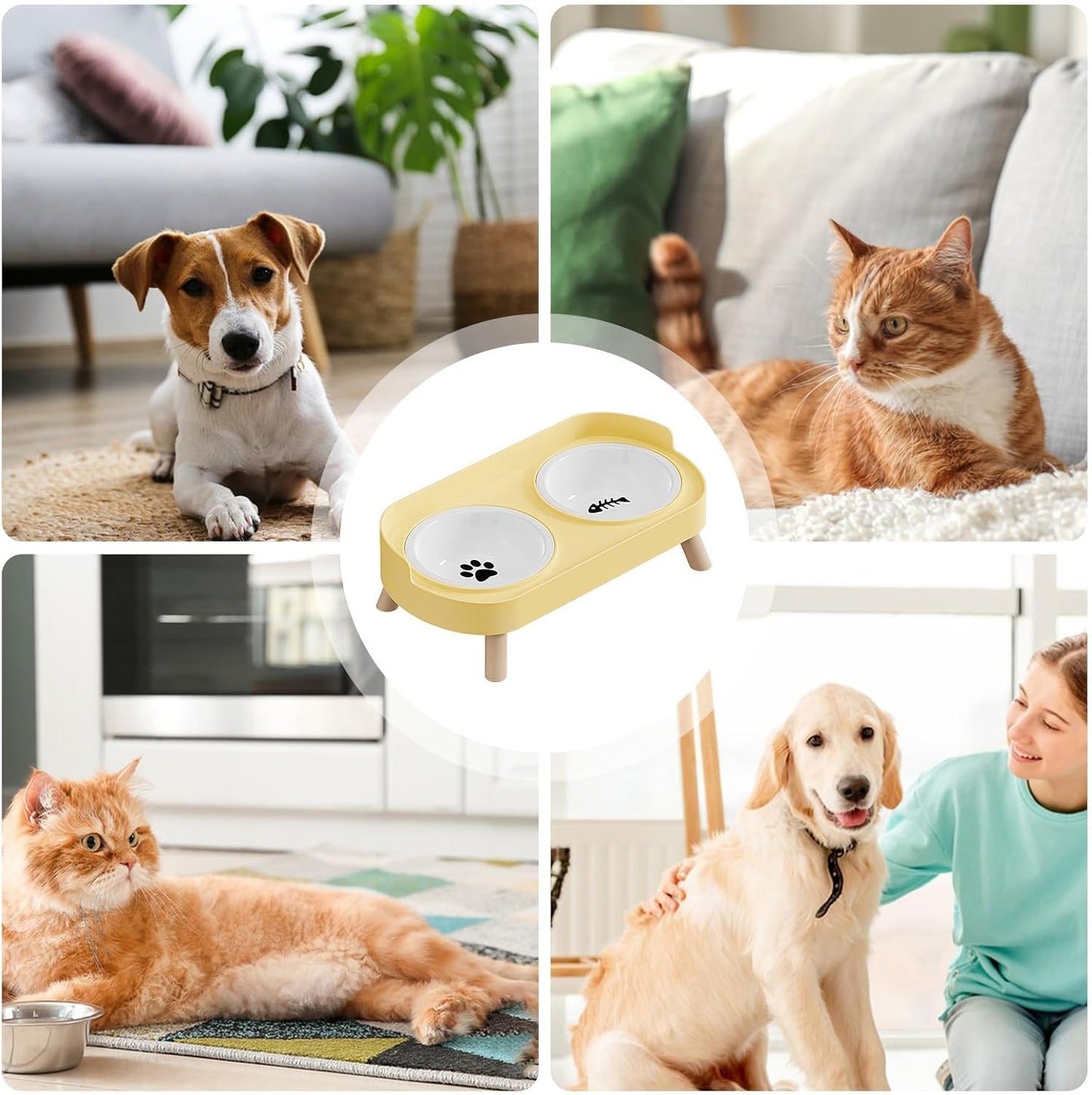 Elevated Pet Bowls, Ceramic Non Slip Water Feeder, 20x15cm Adjustable Feeding Station, Glazed Pet Dish with Stand, Dog Cat Bowl with Stable Base, Indoor Outdoor Home Yard Use for Small Medium Pets