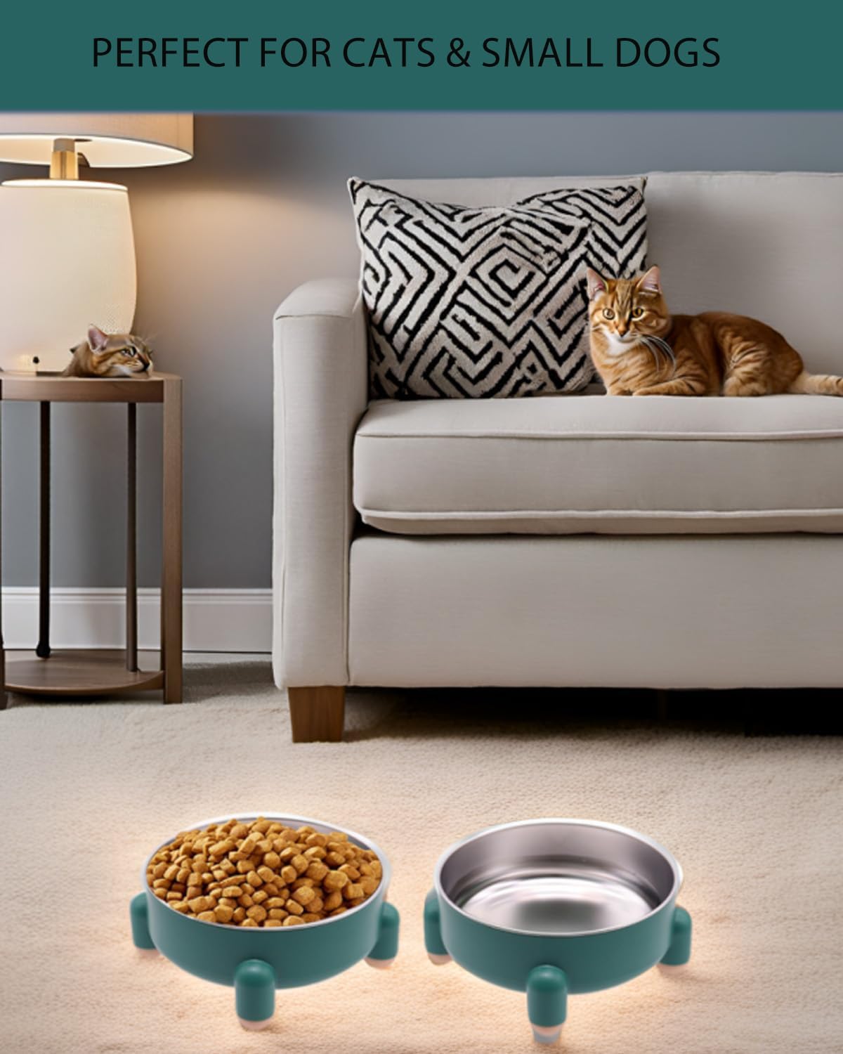 Raised Cat Food Bowl, Anti Vomiting Elevated Cat Bowl Stainless Steel, Whisker Friendly Shallow Wide Dish, 3 Cups (24 oz) Non-Slip Dishwasher Safe for Indoor Cats (Green, 1-Pack)