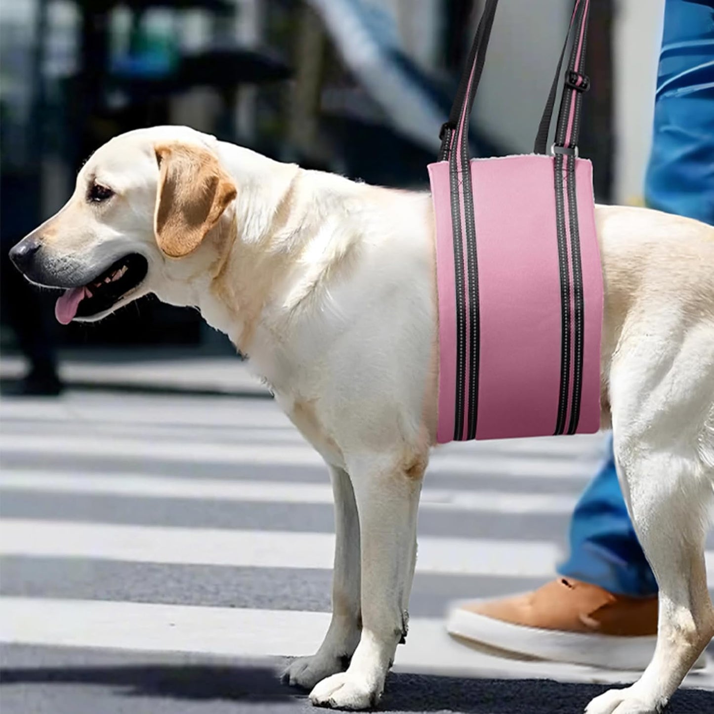 AIITLE Adjustable Dog Slings for Small Dogs - Hind Leg & Hip Support Harness, Plush Rehab Lift Aid with Reflective Straps, Assist Elderly/Injured/Post-Surgery Dogs with Mobility Issues (Pink, S)