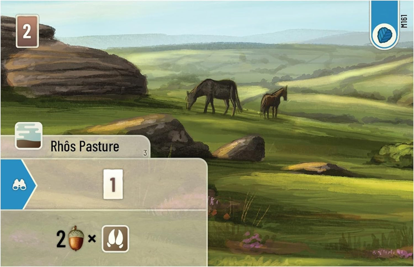Forest Shuffle Dartmoor Card Game - Build Habitats, Place Trees & Attract Fauna in This Standalone Strategy Game for Kids & Adults, Ages 10+, 2-5 Players, 60 Min Playtime