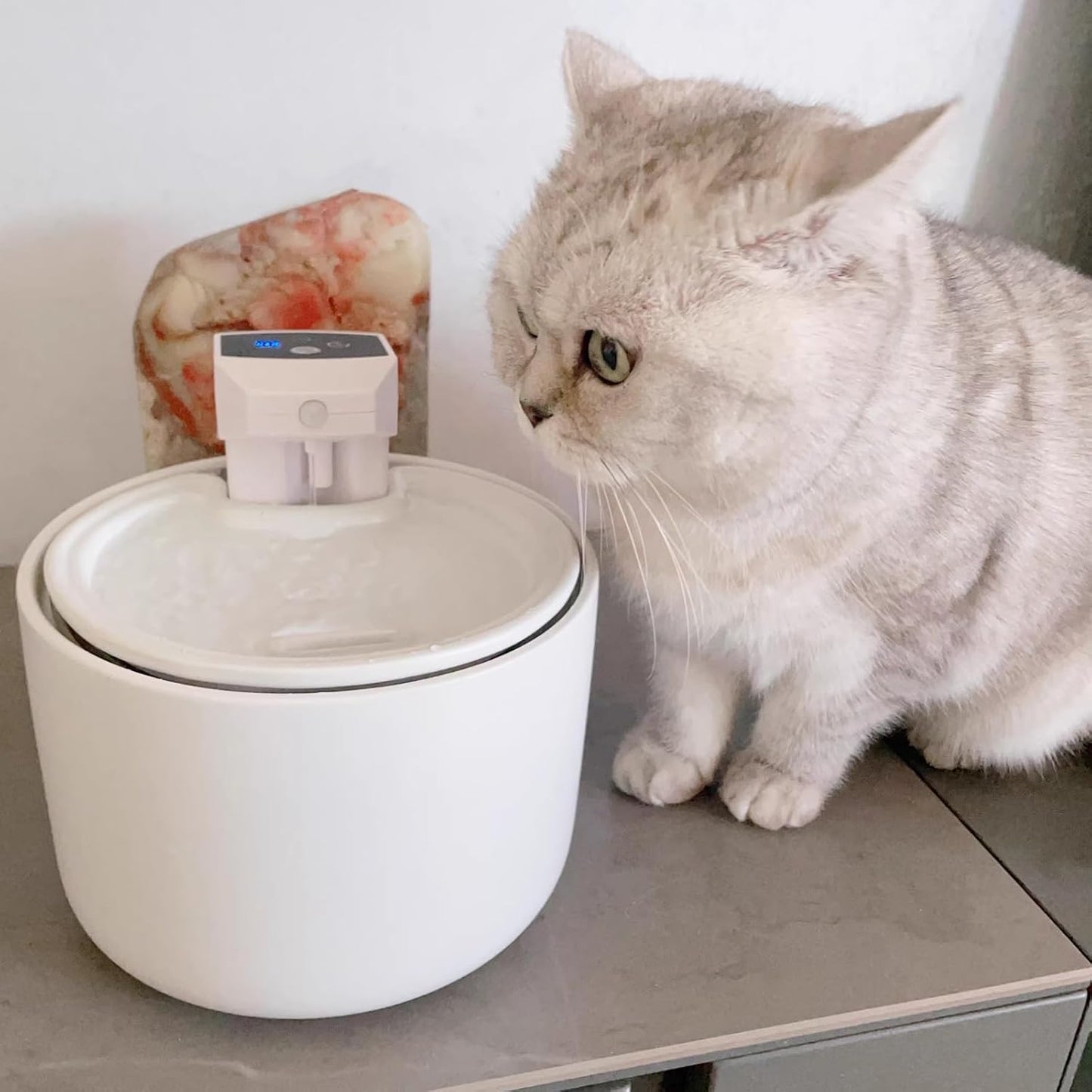 Cordless Ceramic Cat Water Fountain: 101.45oz/3L Automatic Super Silent Intelligent Sensor Pet Drinking Dispenser with 2500mAh Battery Dog Water Bowl Dispenser with 7 Replacement Filters(White)