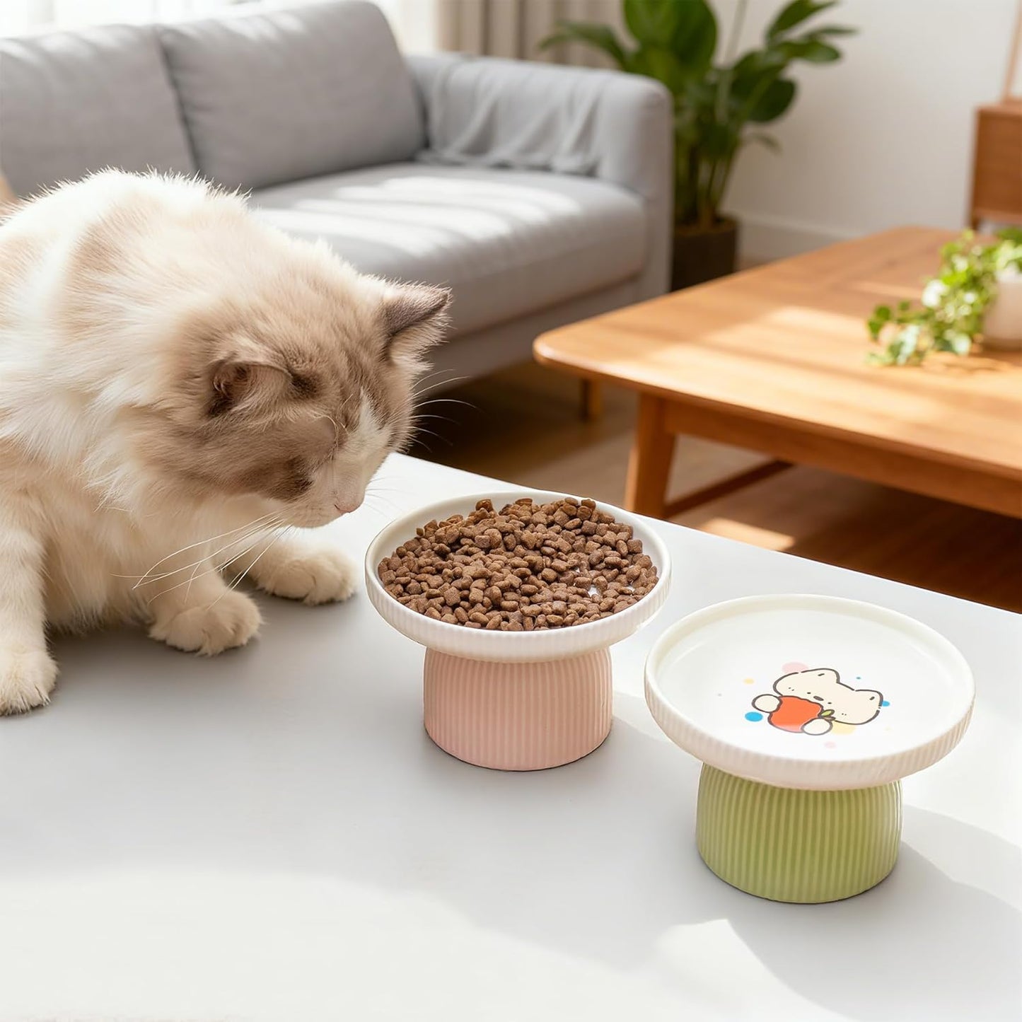 Raised Ceramic Cat Bowl with Tall Stand – Extra Wide Shallow Cat Food Dish for Whisker Fatigue Relief & Anti-Vomiting, Safer Than Plastic, Heavier Than Metal, Lead-Free Dishwasher Safe