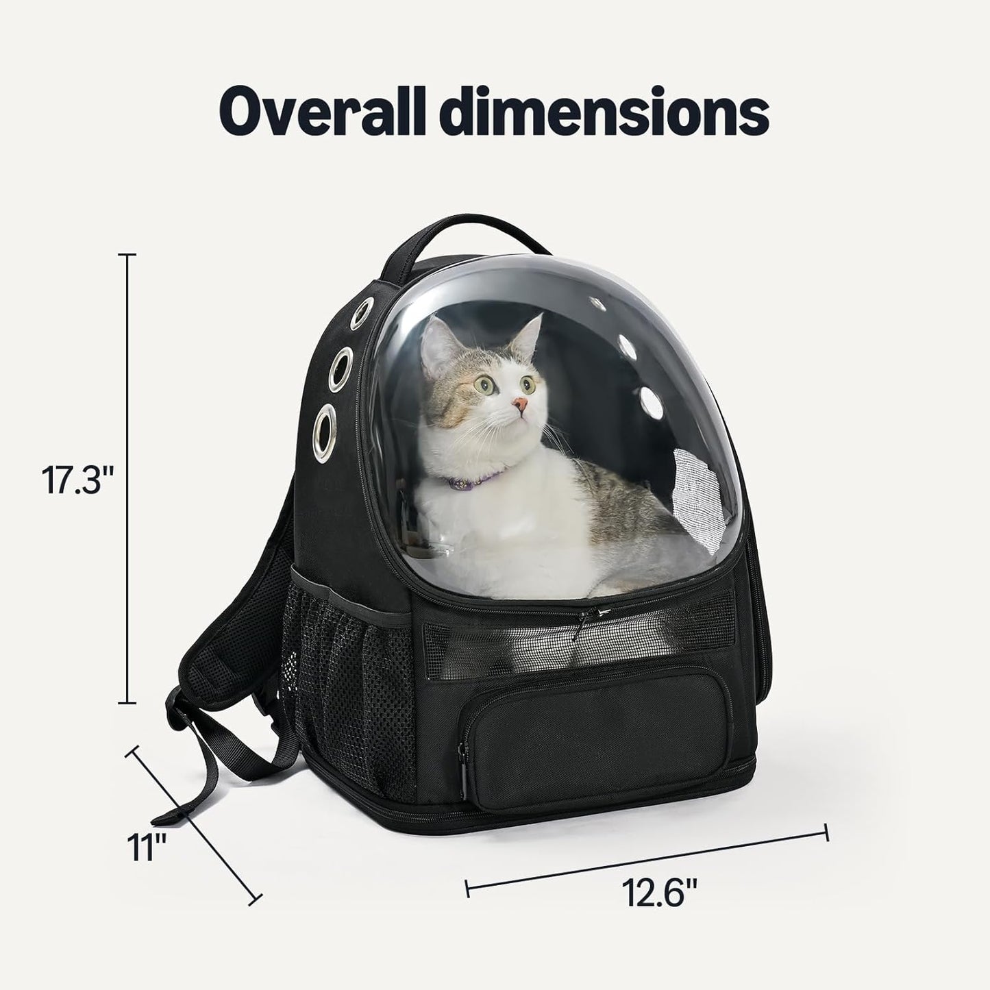 Amazon Basics Pet Carrier Backpack for Small Cats & Dogs, Collapsible Travel Carrier with Bubble Window & Breathable Mesh, Foldable for Travel, Black