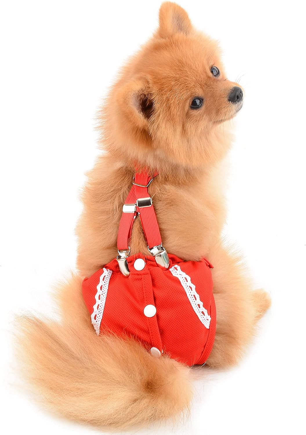 SMALLLEE_LUCKY_STORE Red Lace Girl Dog Diapers for Female with with Suspender Washable Reusable Cloth Sanitary Pants for Heat Cycle Incontinence Puppy Training