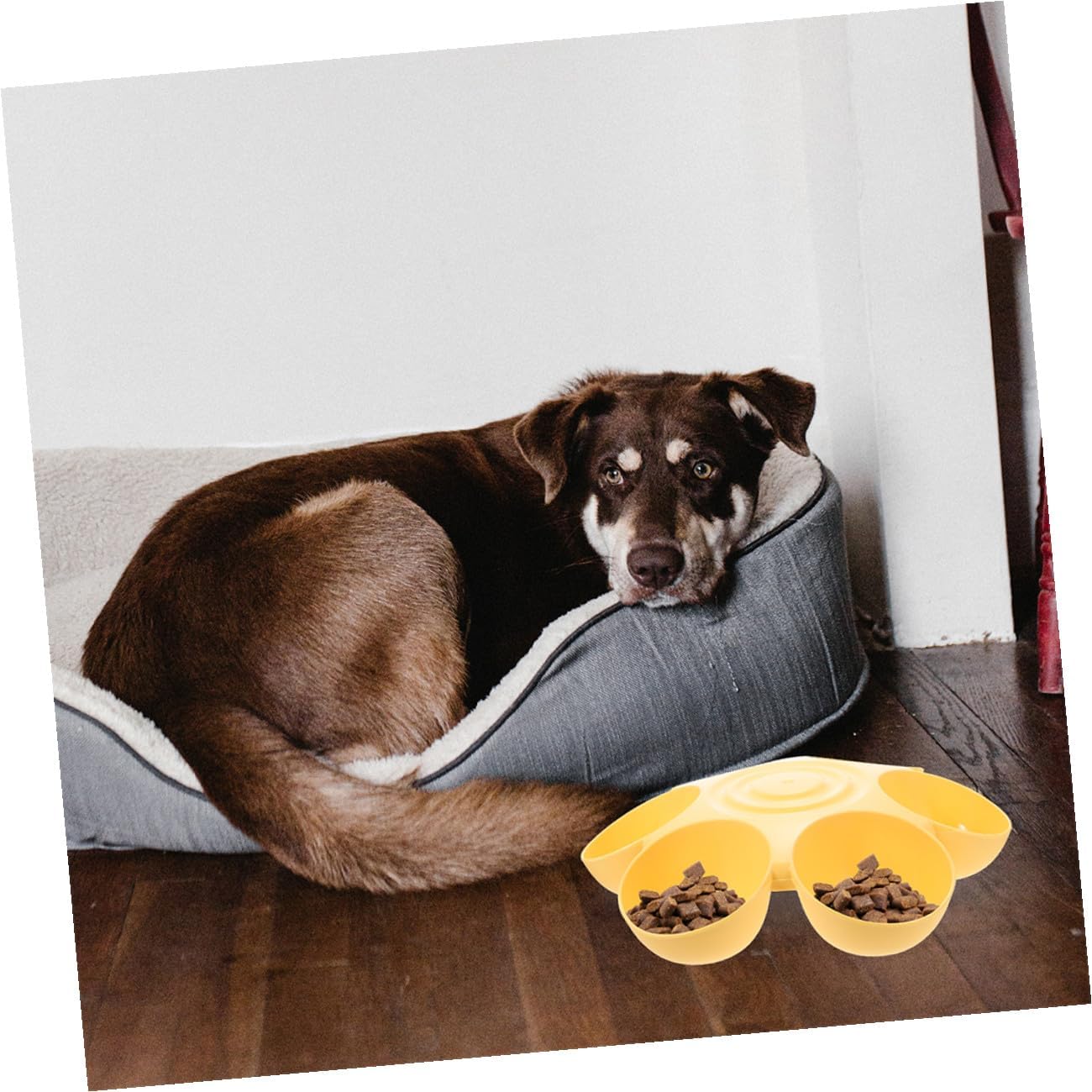 PRETYZOOM 2pcs Flower Shape Pet Bowls 6-Petal Multi-Slots Anti-Slip Food and Water Holder for Cats and Puppies Indoor Feeding Supplies