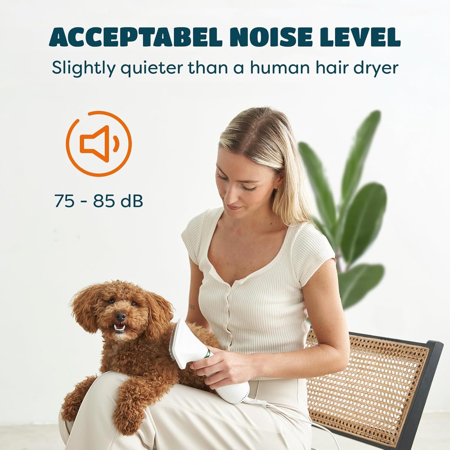 2-in-1 Dog Dryer with Slicker Brush for Small Dogs and Cats, Pet Hair Dryer, Dog Blow Dryer for Grooming with 300 Watts, 75-85 dB, Adjustable Temperature, Overheat Protection
