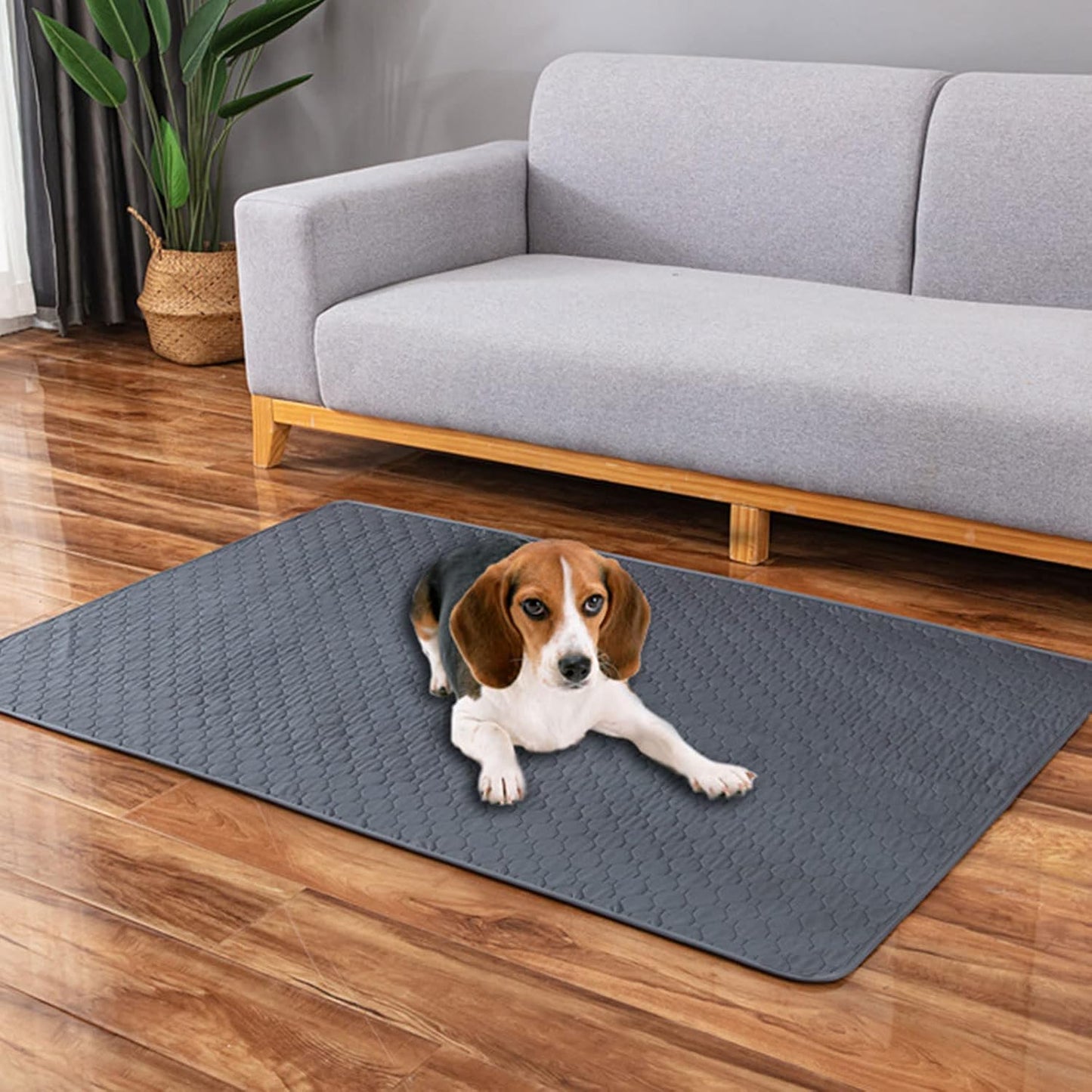 Washable Pee Pads for Dogs Reusable Dog Floor Mat Dog Pee Pad Heavy Absorbency Puppy Potty Training Pads