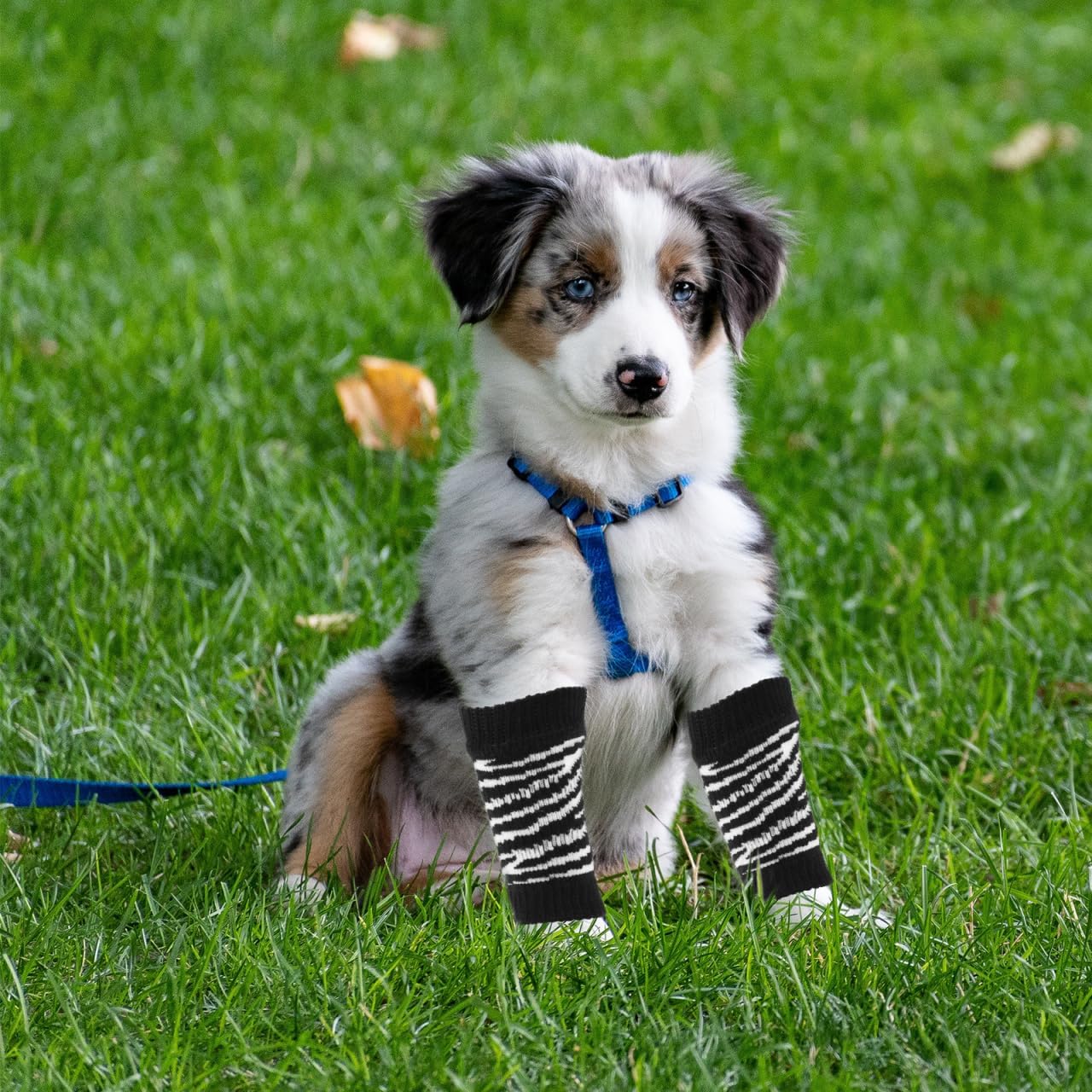 Sosoport Dog Leg Warmers for Small Dogs - Washable Pet Socks with Breathable Cotton Fabric Adorable Patterned Elbow Protectors for Winter Paw Care and Outdoor Use 4 Pack