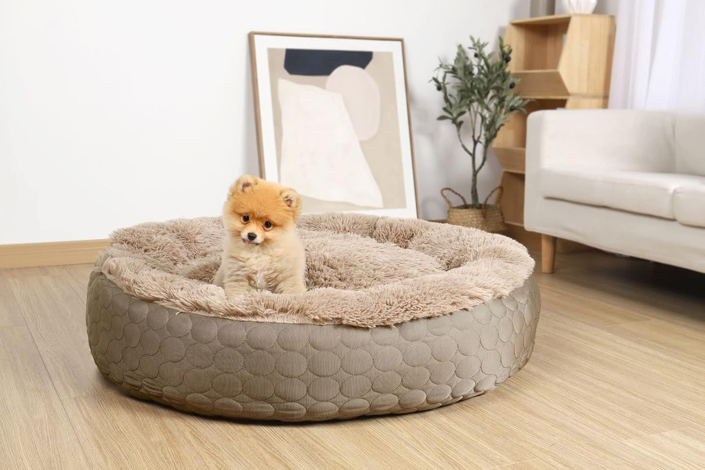HACHIKITTY Dog Bed, Orthopedic, Round, X-Large, Taupe (30x24x16in), for Medium Large Dogs & Cats, Cooling Warming, Polyester, Hypoallergenic
