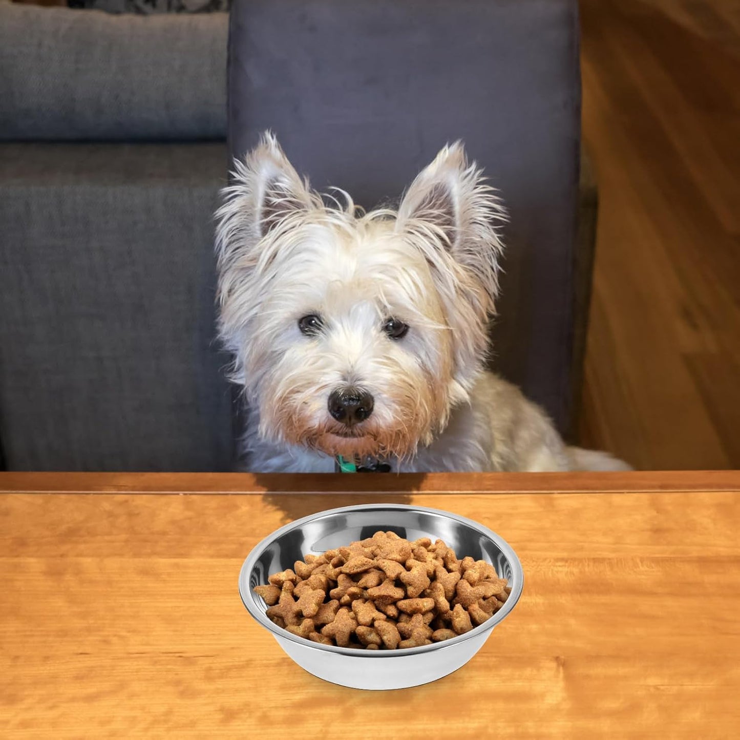 Milisten 5pcs Stainless Steel Pet Food Bowls Round Puppy Bowls Sturdy Dog Feeder Set for Indoor Feeding